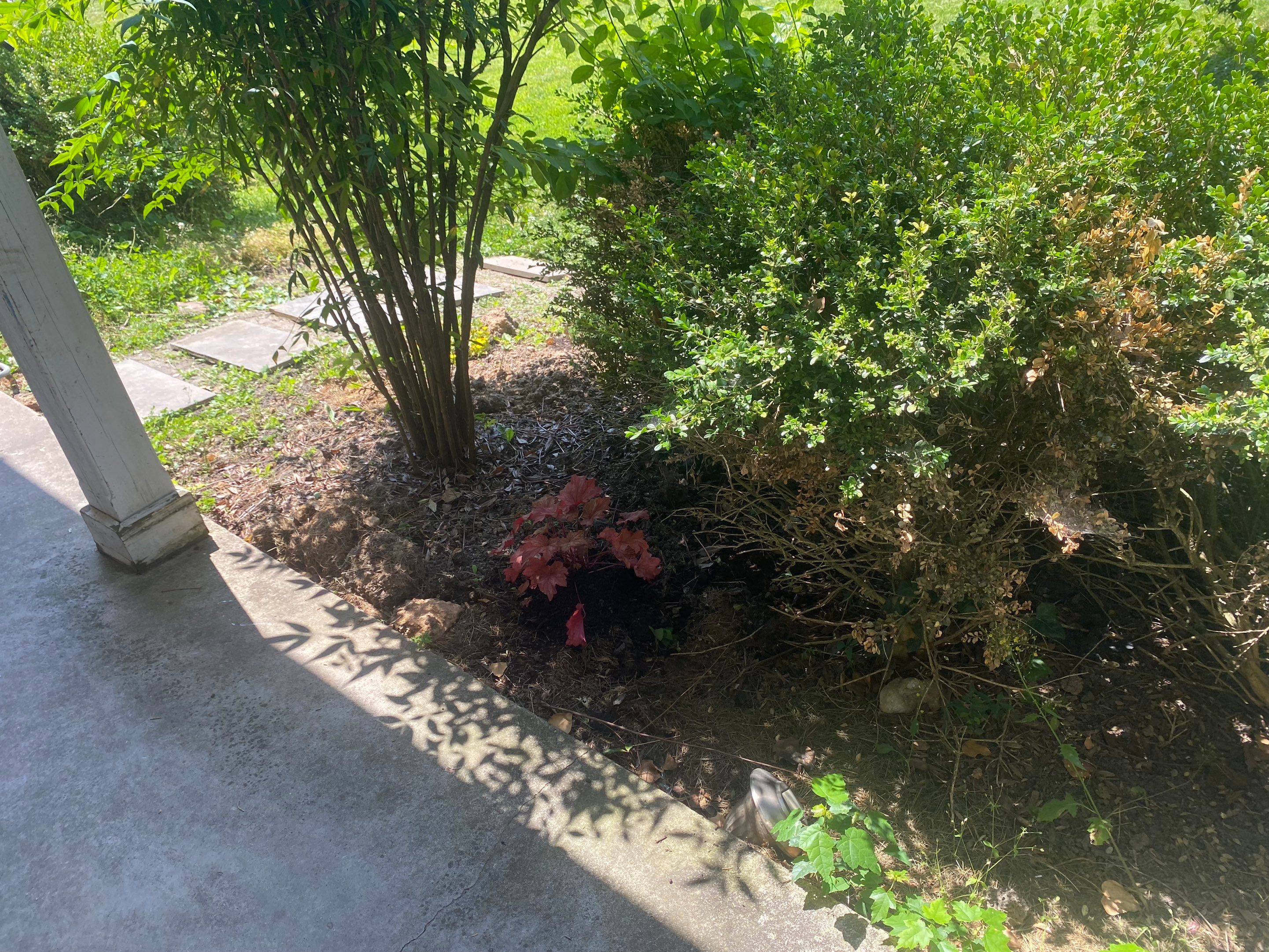 Landscape cleanup by The Smet Companies, LLC