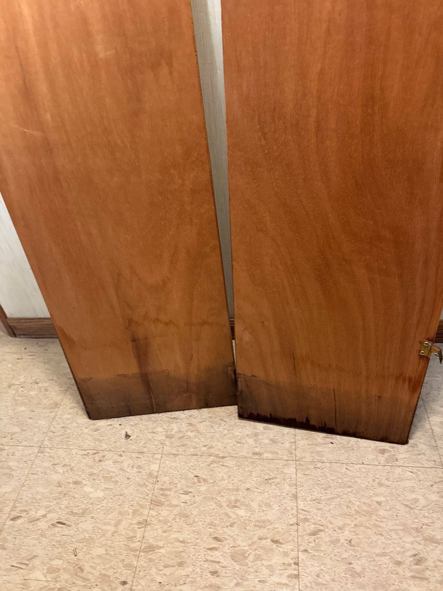 Drain Backup from a Storm by Chicagoland Water Medics