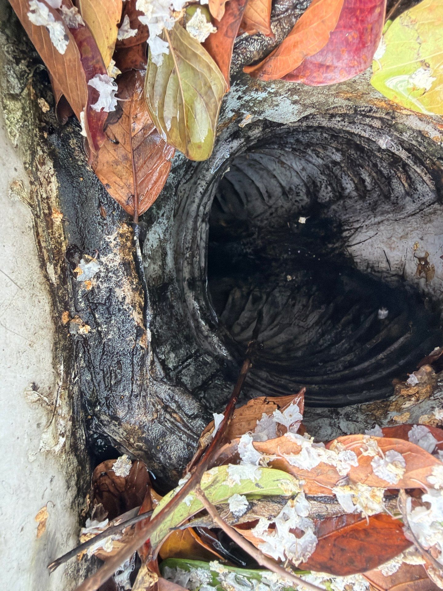 Gutter Maintenance by Deerfield Roofing LLC