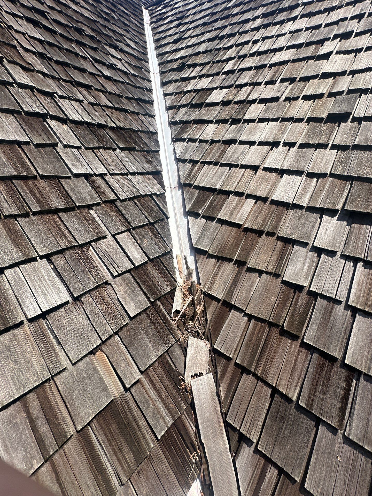 Canterbury Lake Alpharetta Roof Replacement  by Dom Roofing & Restoration