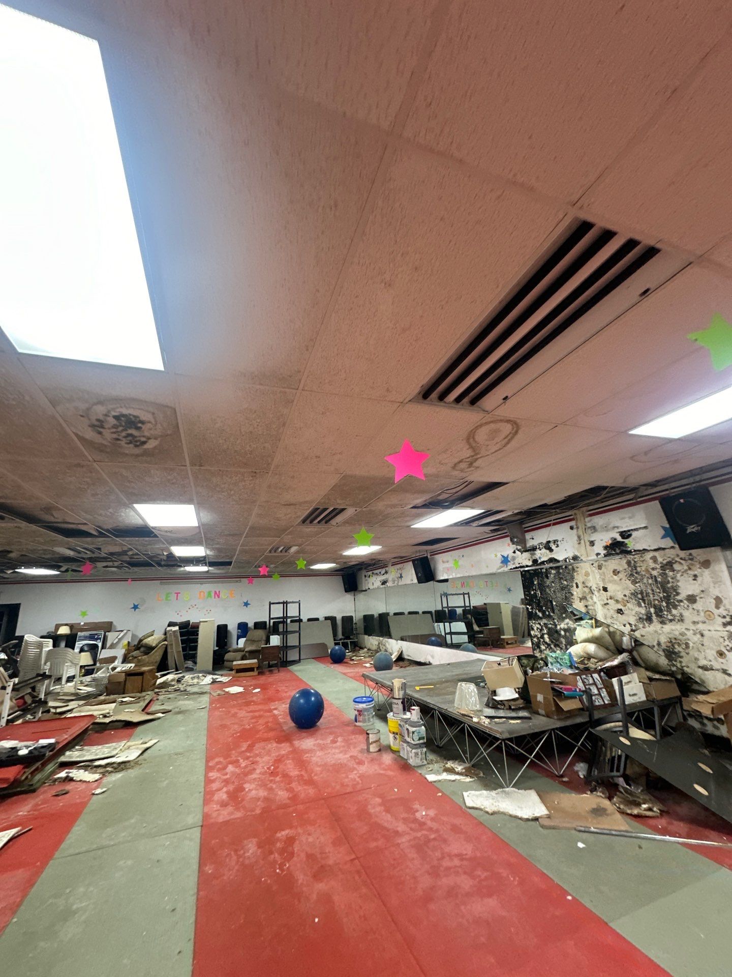 Extreme Mold Contamination: Full-Building Remediation Case Study by BlueRed Restoration