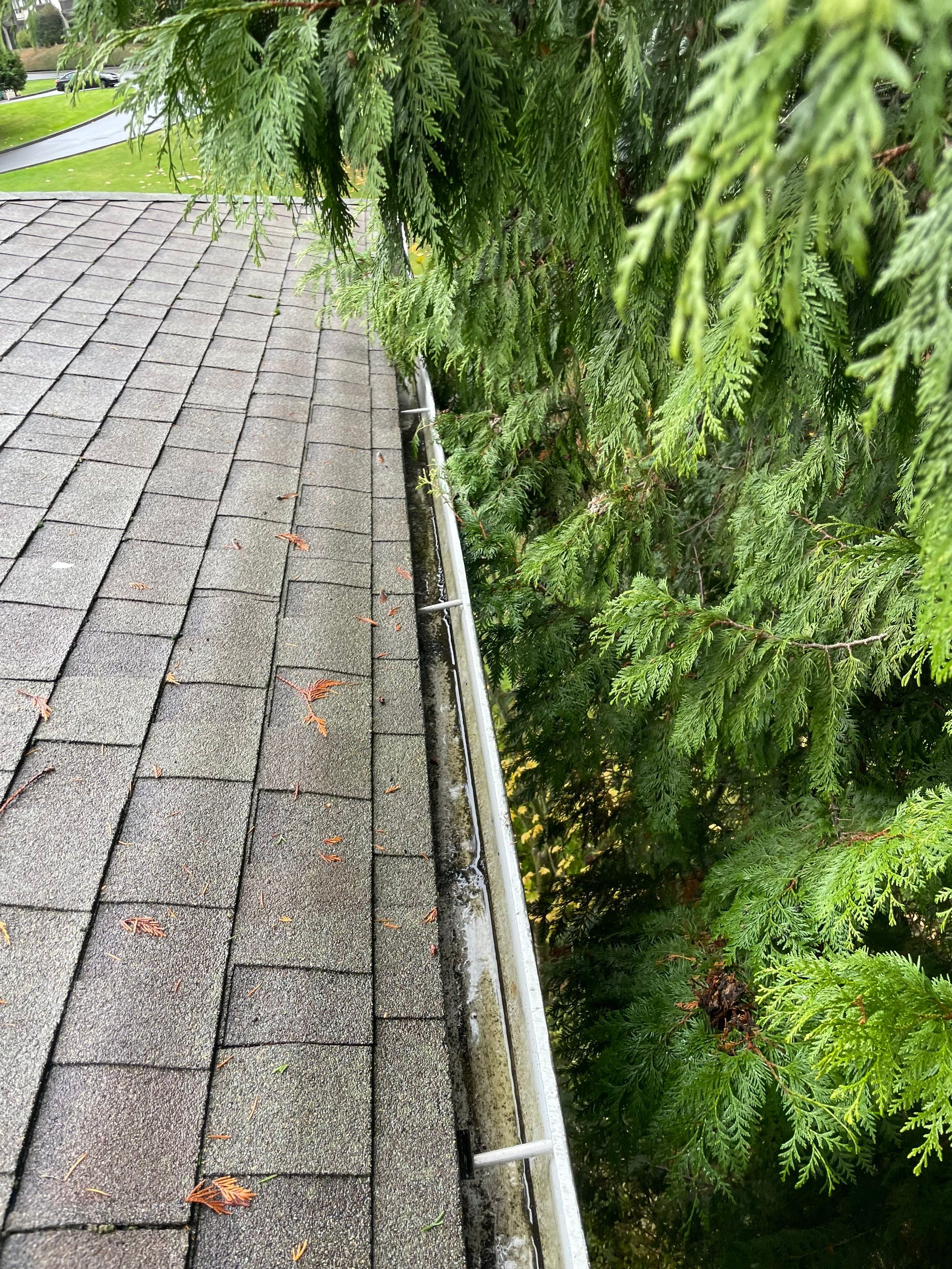 Commercial gutter cleaning Tacoma, WA after photo with clean gutters