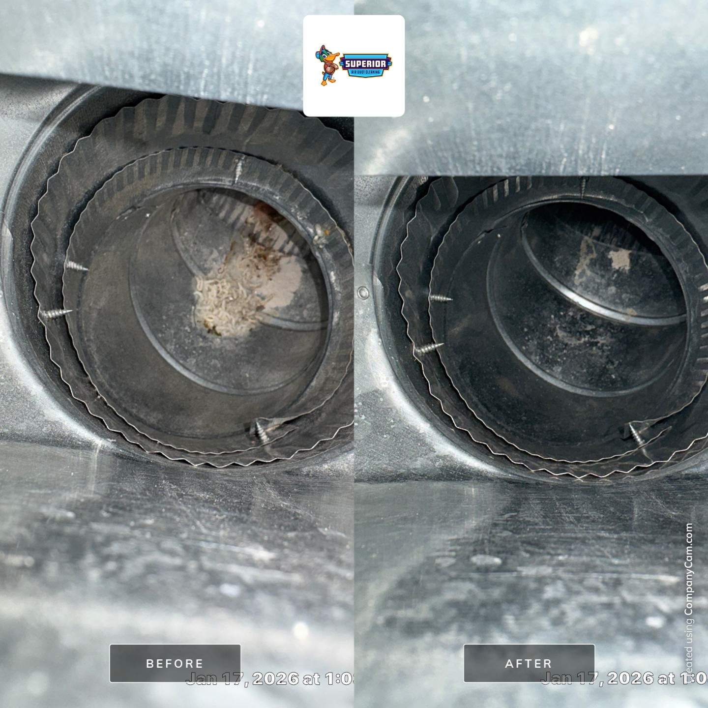 Air Duct Cleaning in Grove City, PA by Superior Air Duct Cleaning