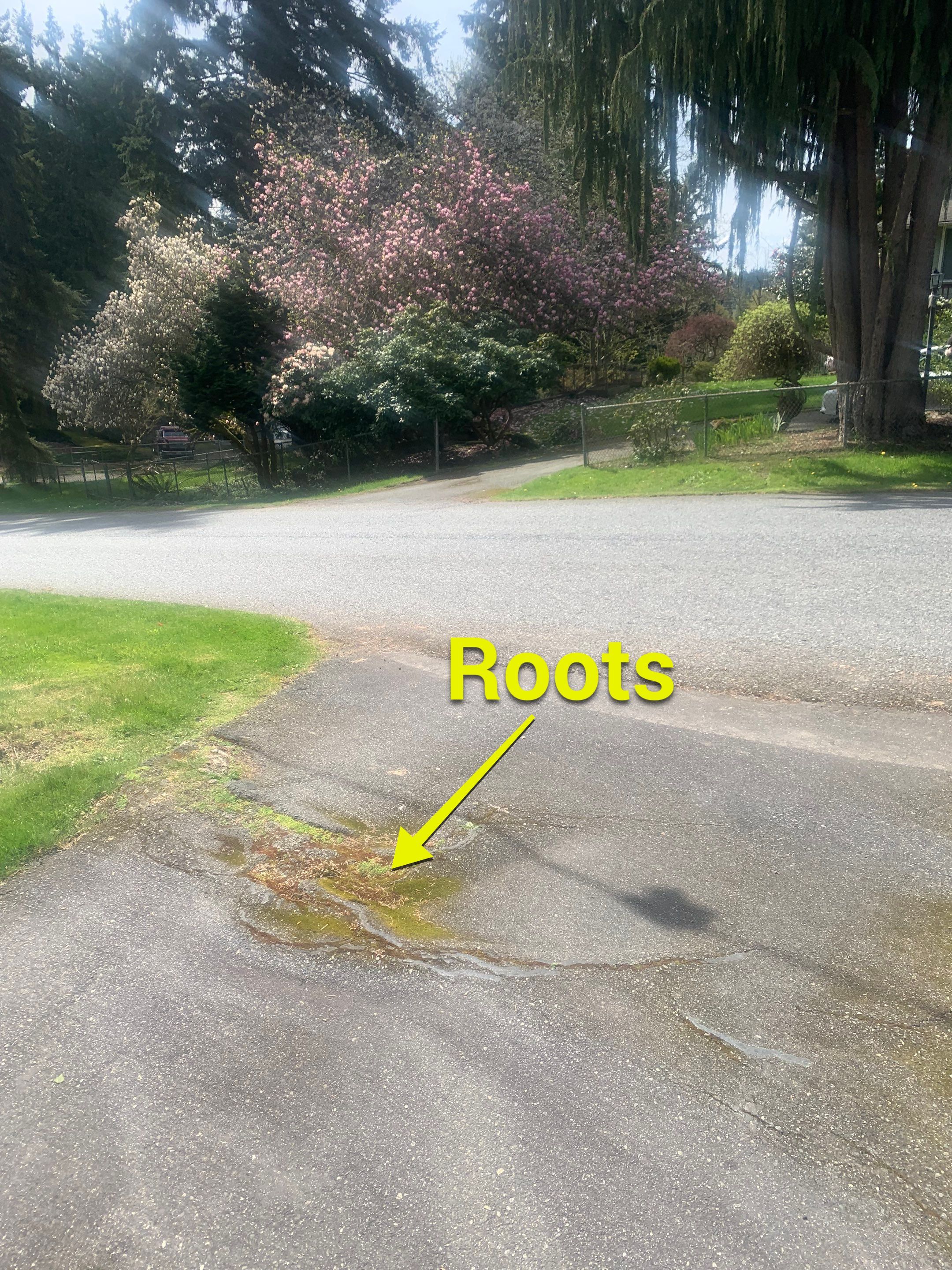 Modern Entry Fence by Jireh Asphalt & Concrete Inc 