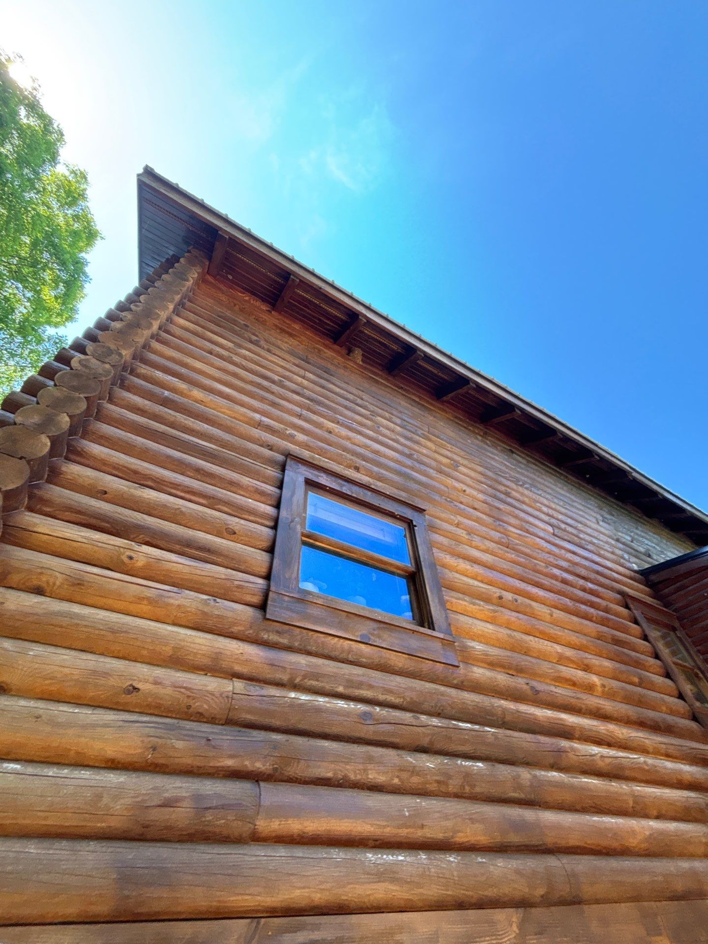 Log Cabin Termite Monitoring System and Structural Inspection in Shelby by Alabama Professional Services