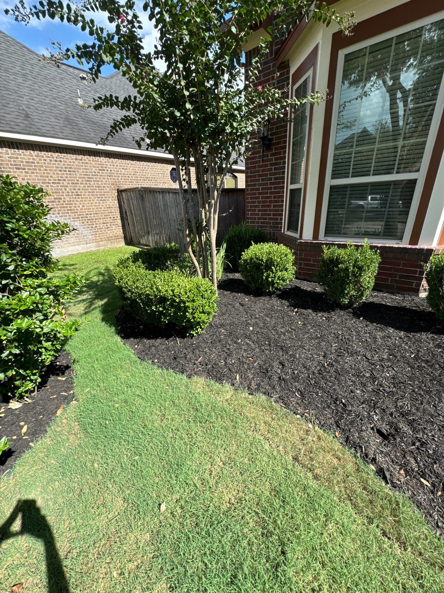 🌿🏡 Project Spotlight: Front Yard Curb Appeal Rescue for Mr. B. Khara by Texas Urban Elements