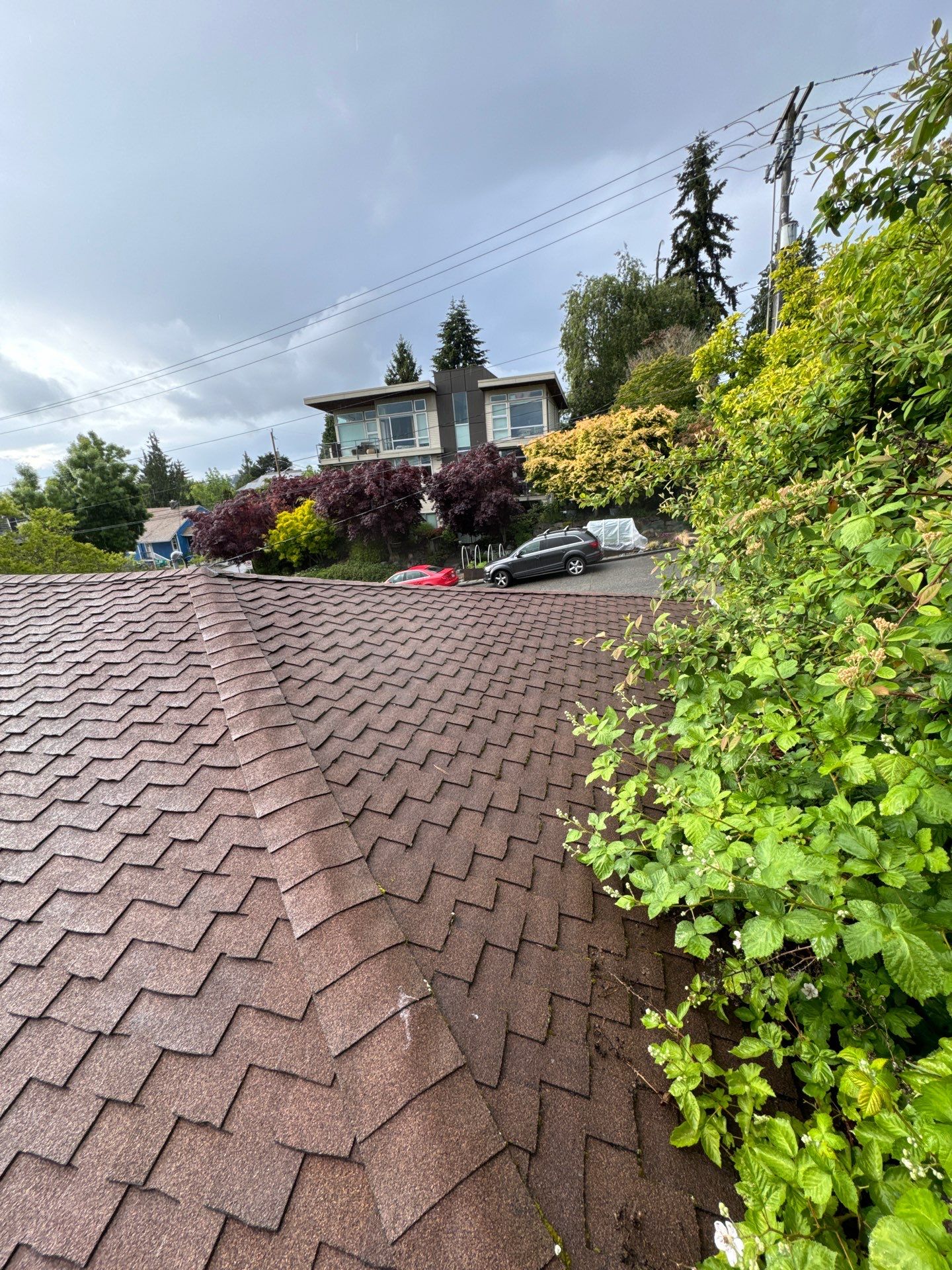Project in Seattle by Peaks and Valleys Construction