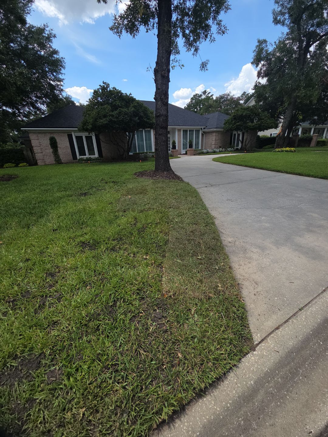 Deerwood Resident | Sod Installation by ProGreen Services