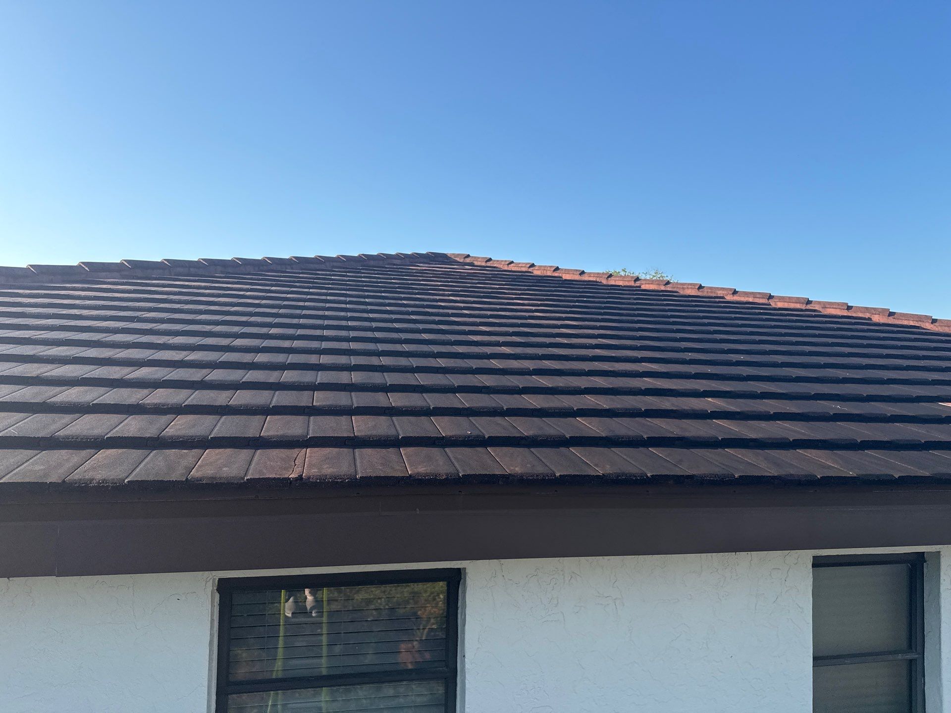 Tile Roof Cleaning – Vivenda at Bradenton I (5-Star Review & Plant Protection) by Sunshine AquaWash