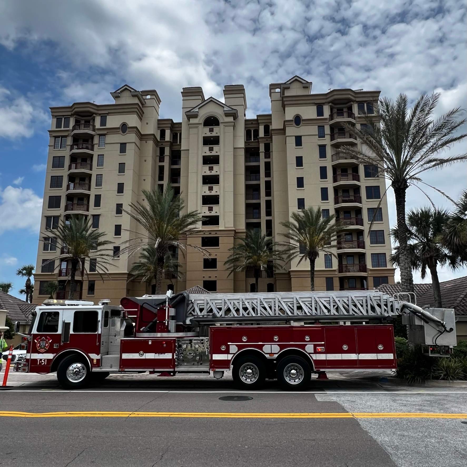 Palm Trimming | Landmark Condominiums by ProGreen Services