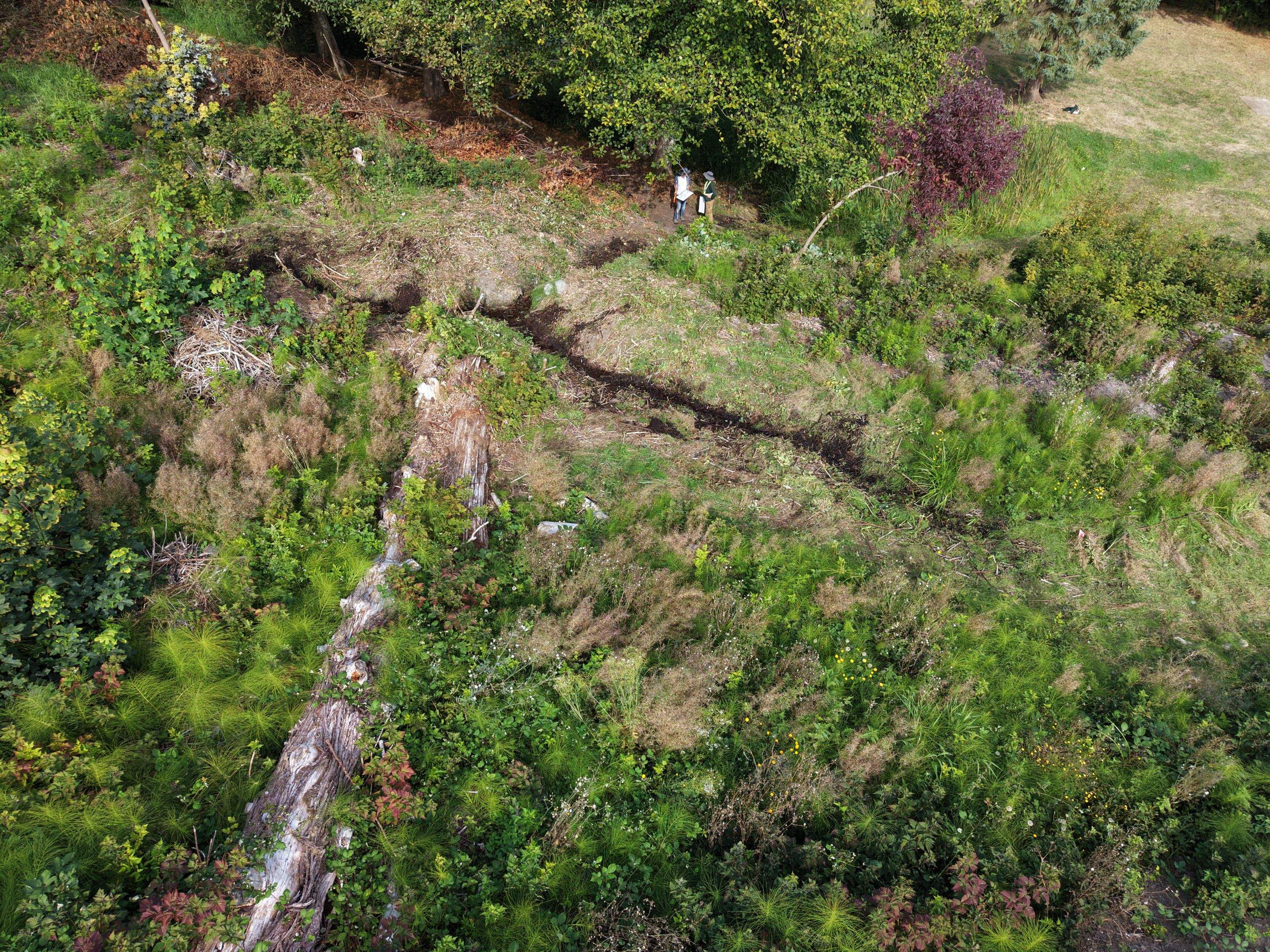 Island View - Ecological Restoration & Stewardship by Habanero Landscape Solutions