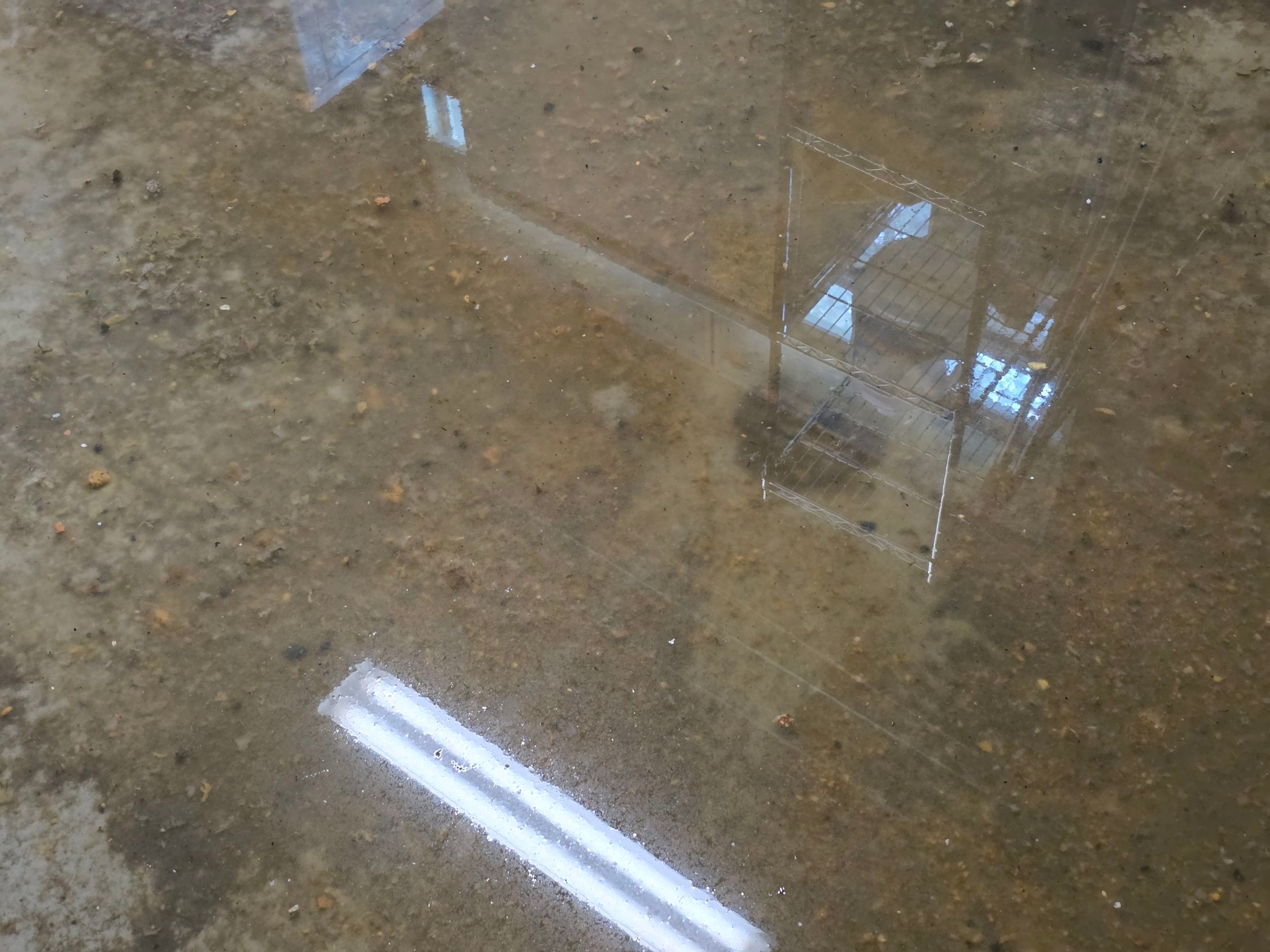 Wilmette Basement Sewage Extraction and Structural Drying Mitigation by Chicagoland Water Medics