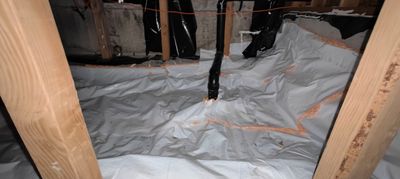 Project in Camas