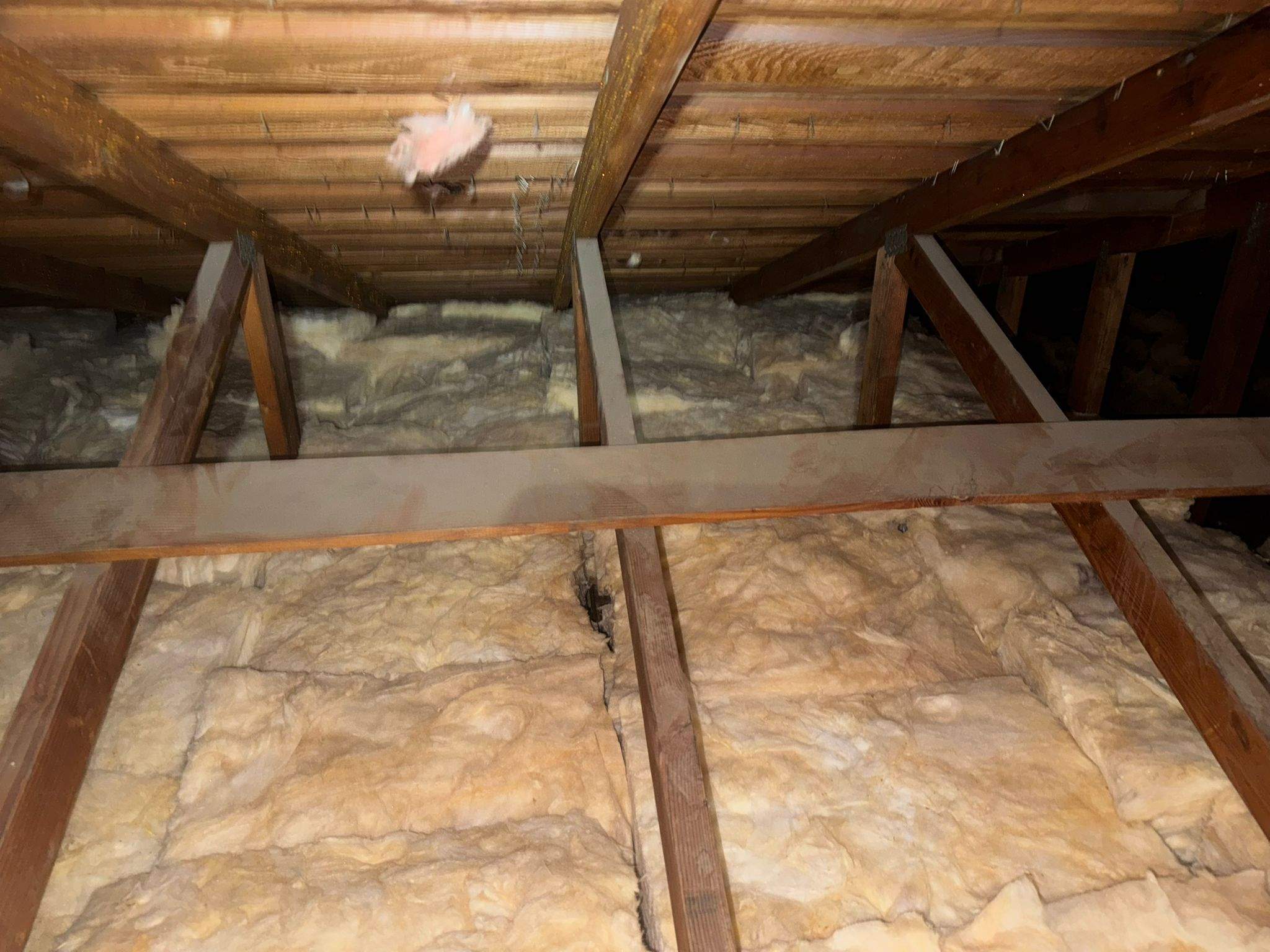 Project by Advanced Attic Solutions by Advanced Attic Solutions