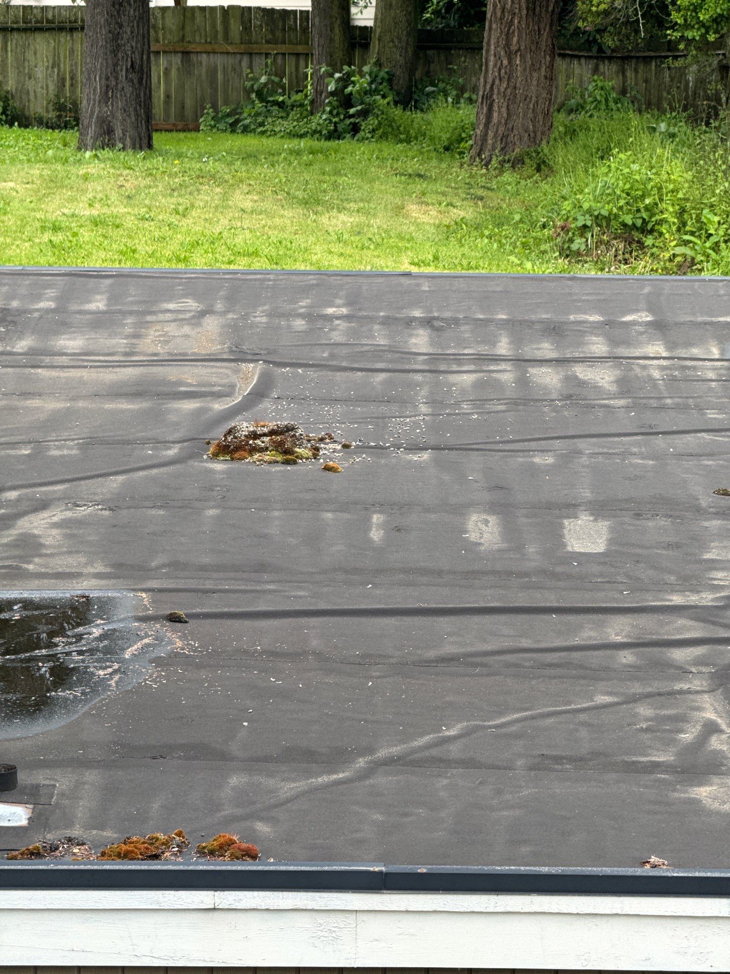 Project in Everett by Connolly Construction Company