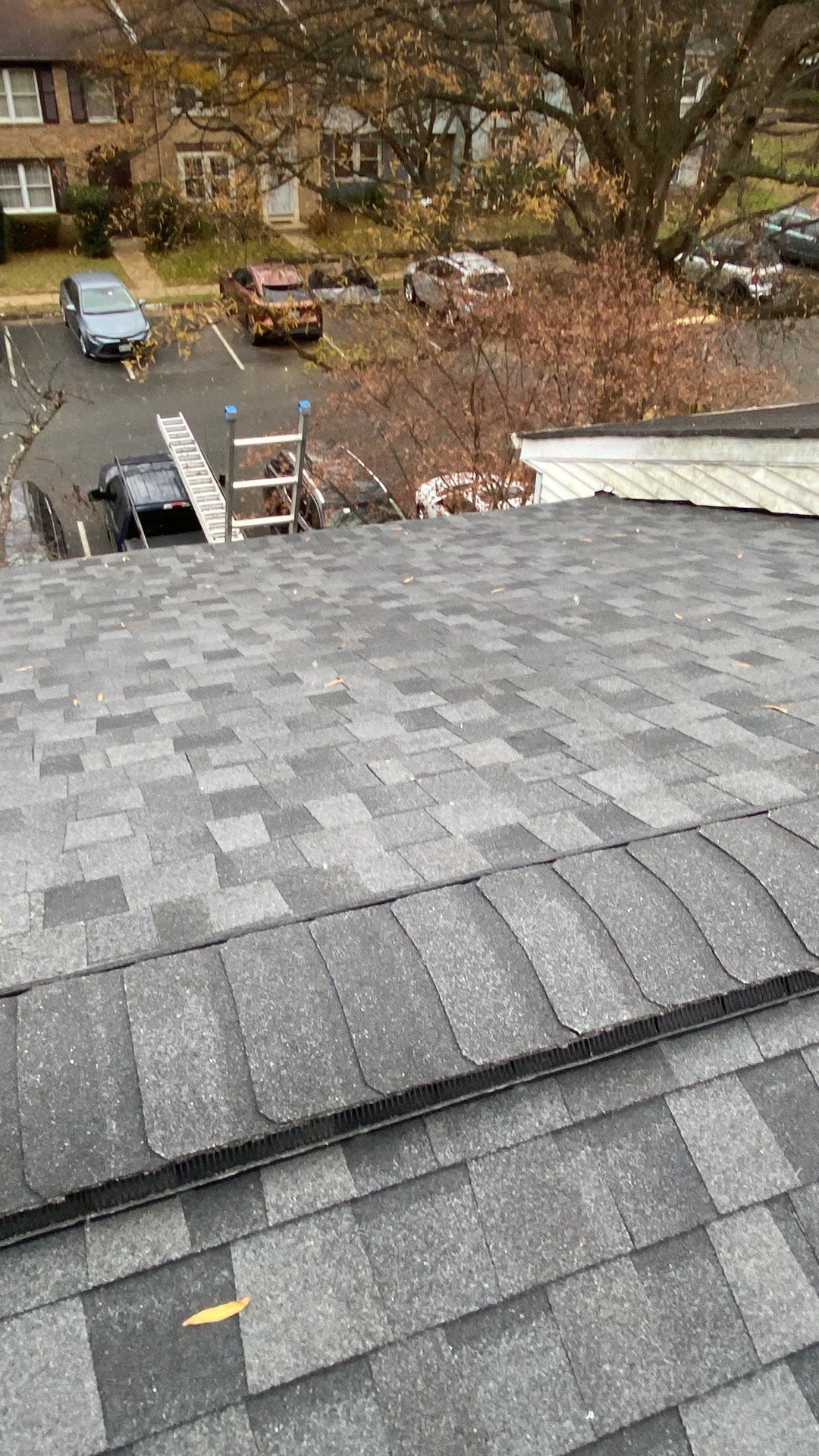 Falls Church: Residential Roof Replacement with CertainTeed Landmark Pro in Max Def Moire Black by RM Banning, Inc.
