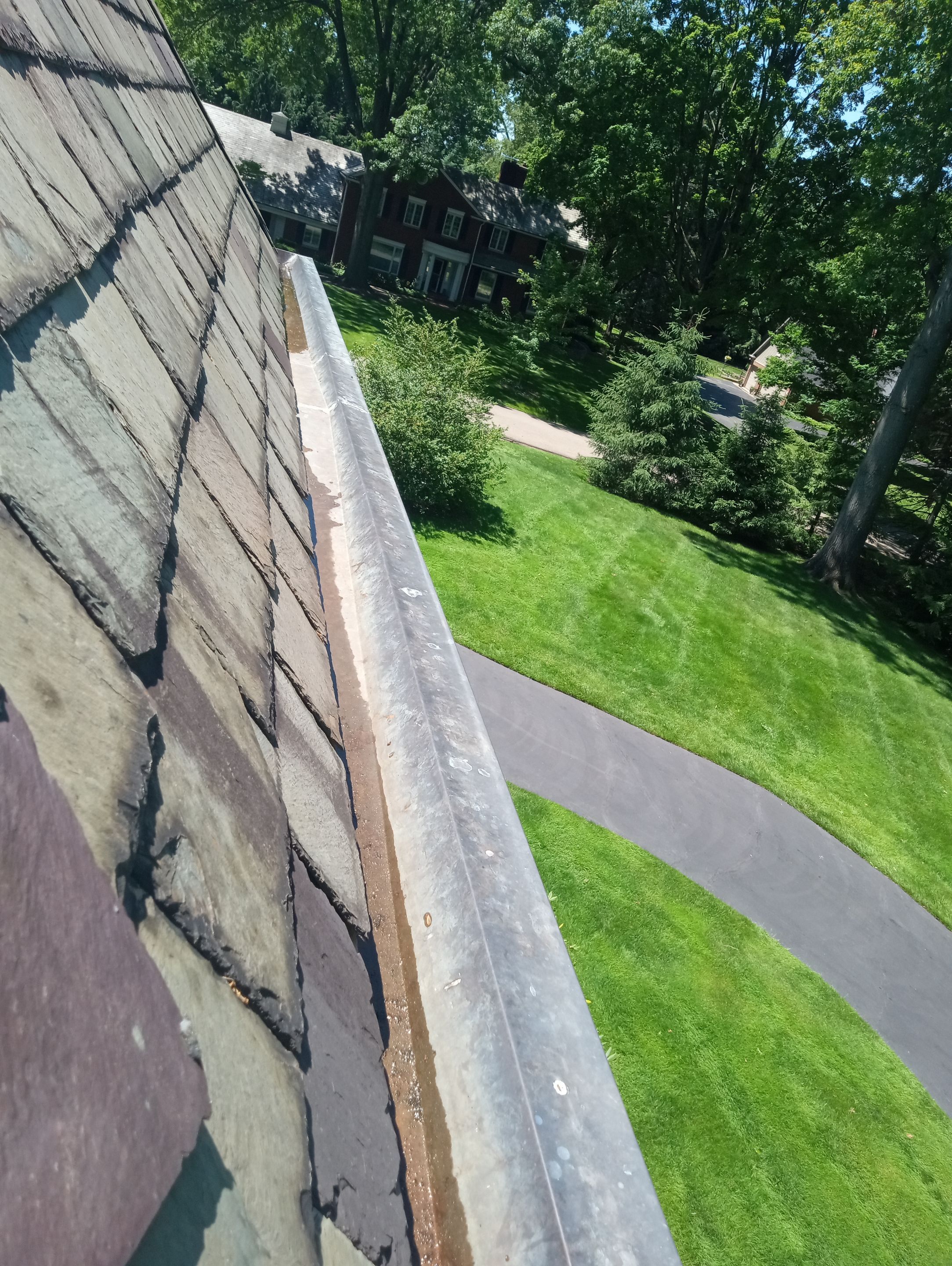 Barbra Bertovich by Silver Leaf Contracting 
