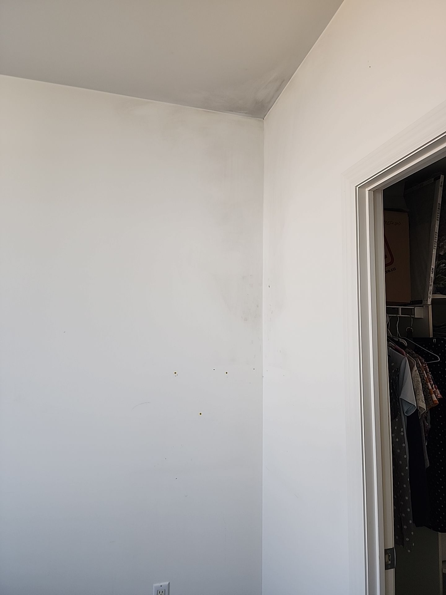 Project in Toronto by GTA HOME PAINTING