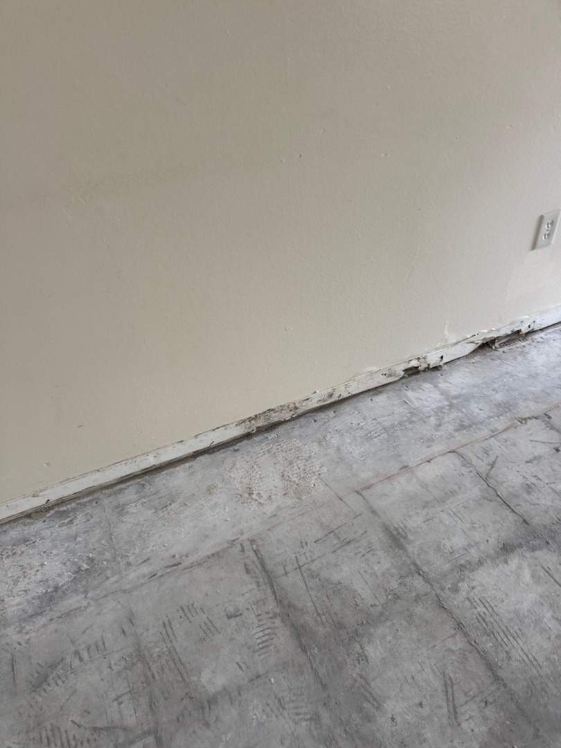Project in Kissimmee by You Restorations LLC DBA YOU-Home