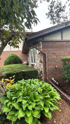Why Elk Grove Village Gutters Clog and Ice Up
