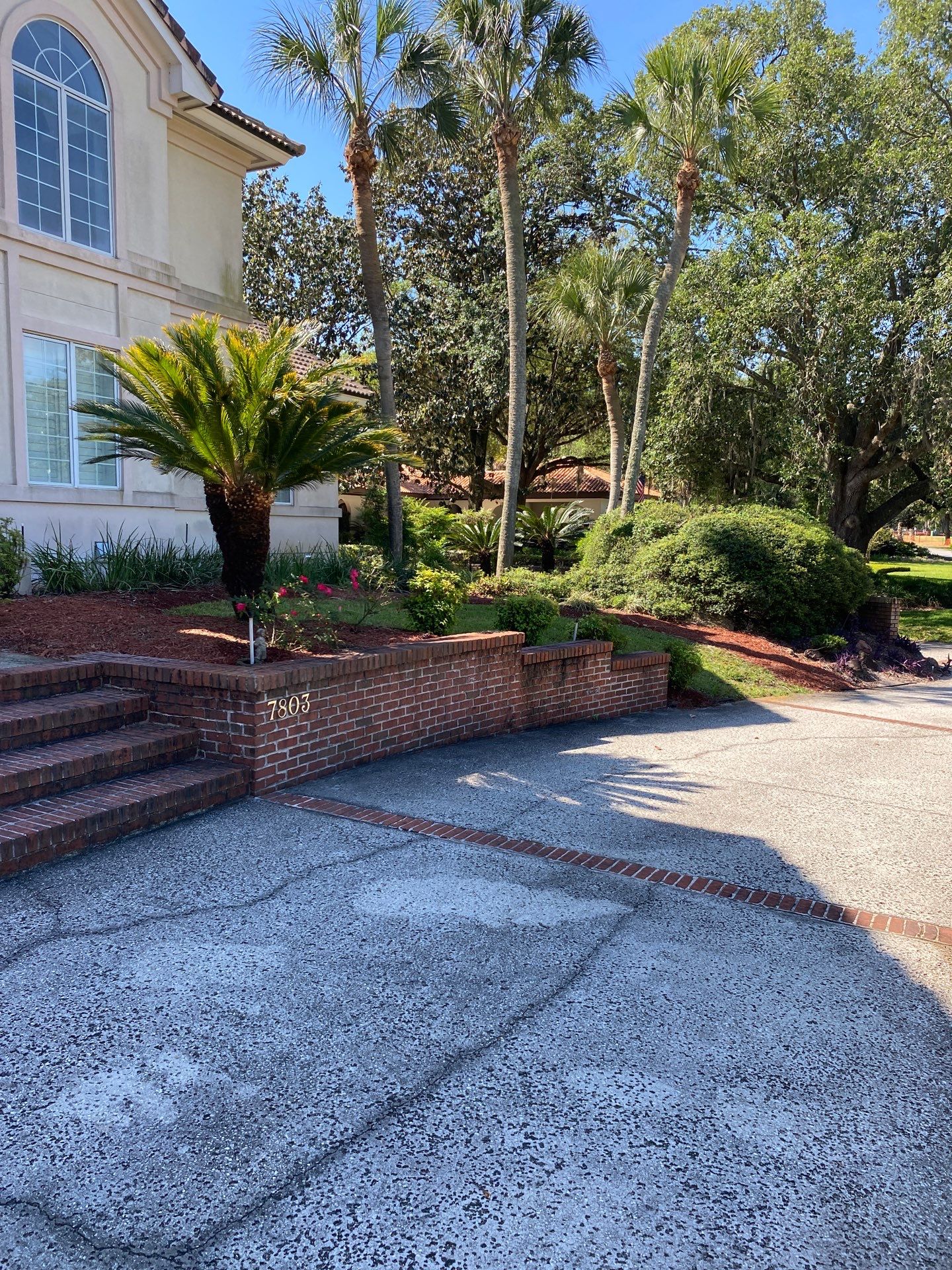 Deerwood Resident | Palm Tree Trimming & Clean-Up by ProGreen Services