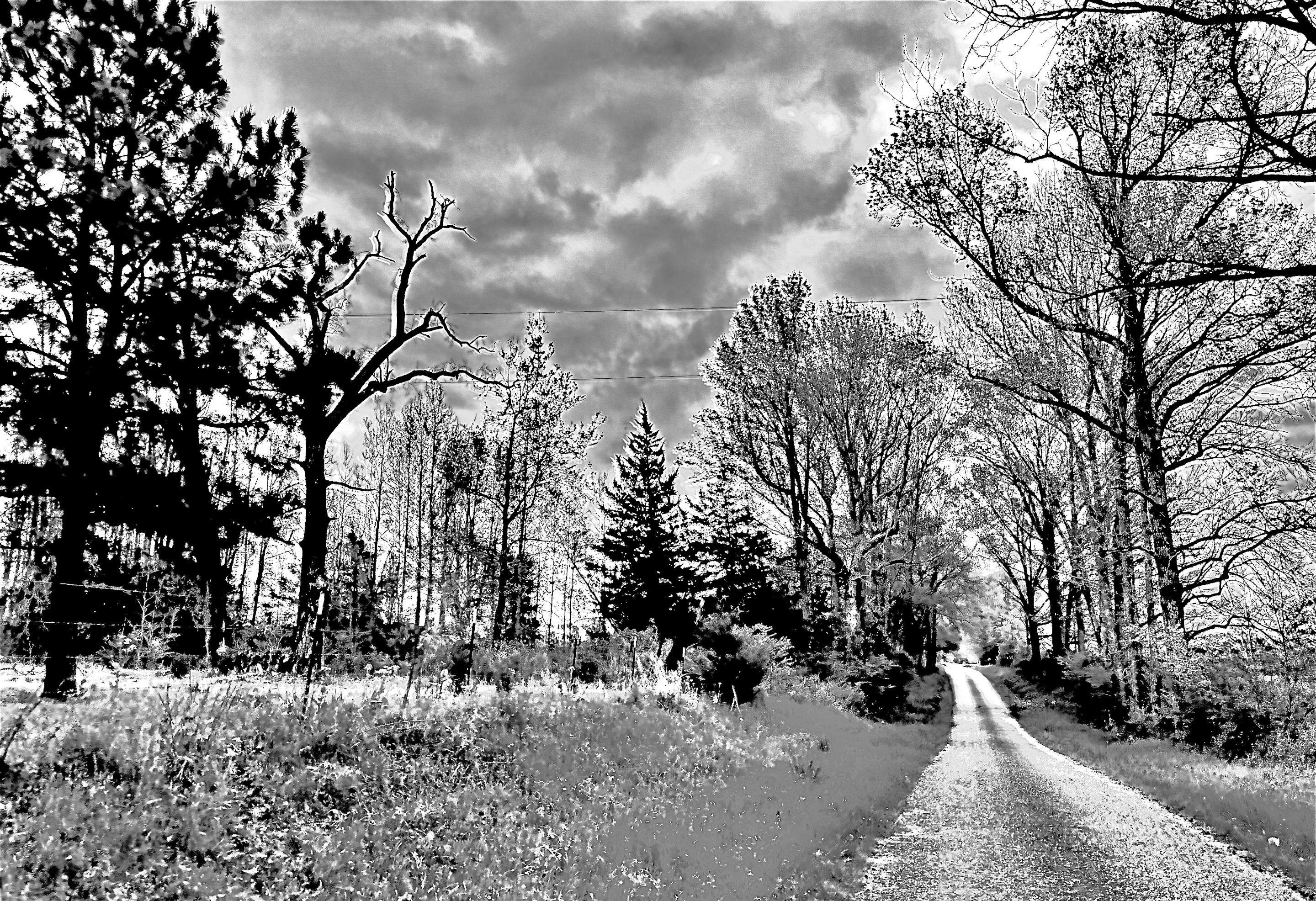 Tree Farm Apiary by Rockwall Honey Bee Company