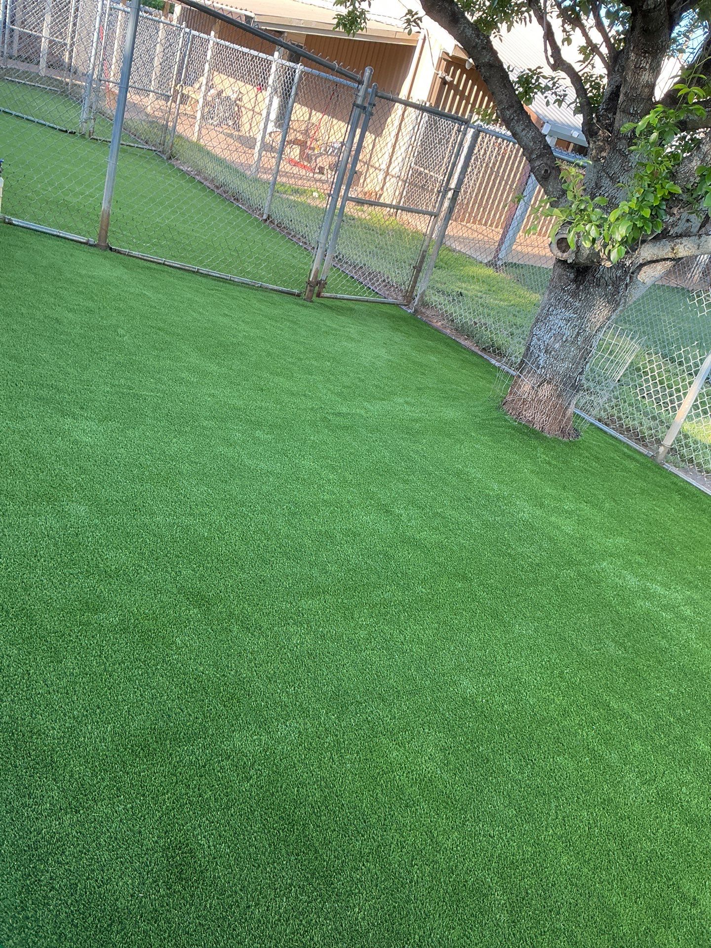 Synthetic Turf Installation using Pet Turf by Turf Concepts
