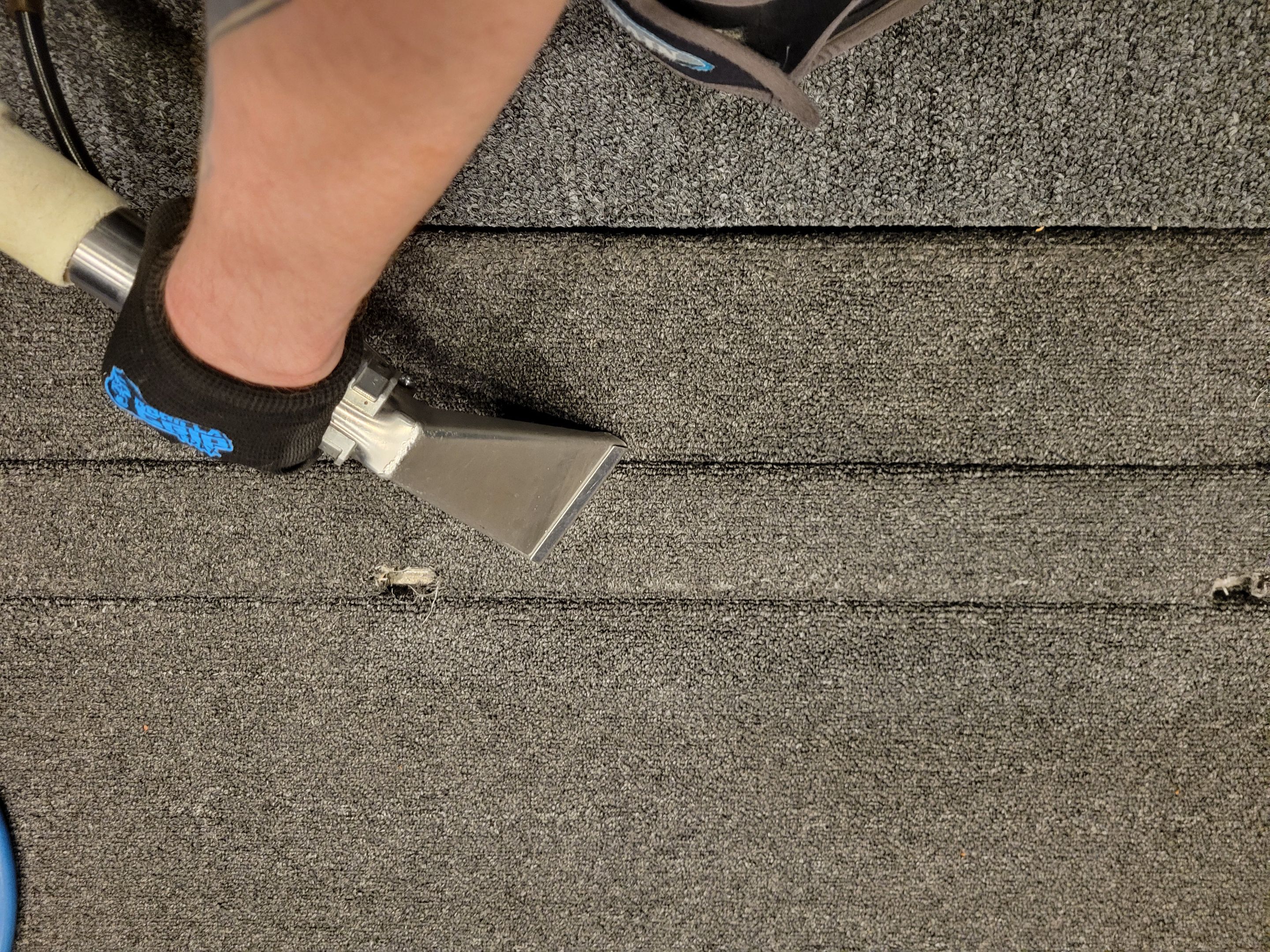 Rocklin Church, Carpet Cleaning by Ardent Carpet Restore LLC