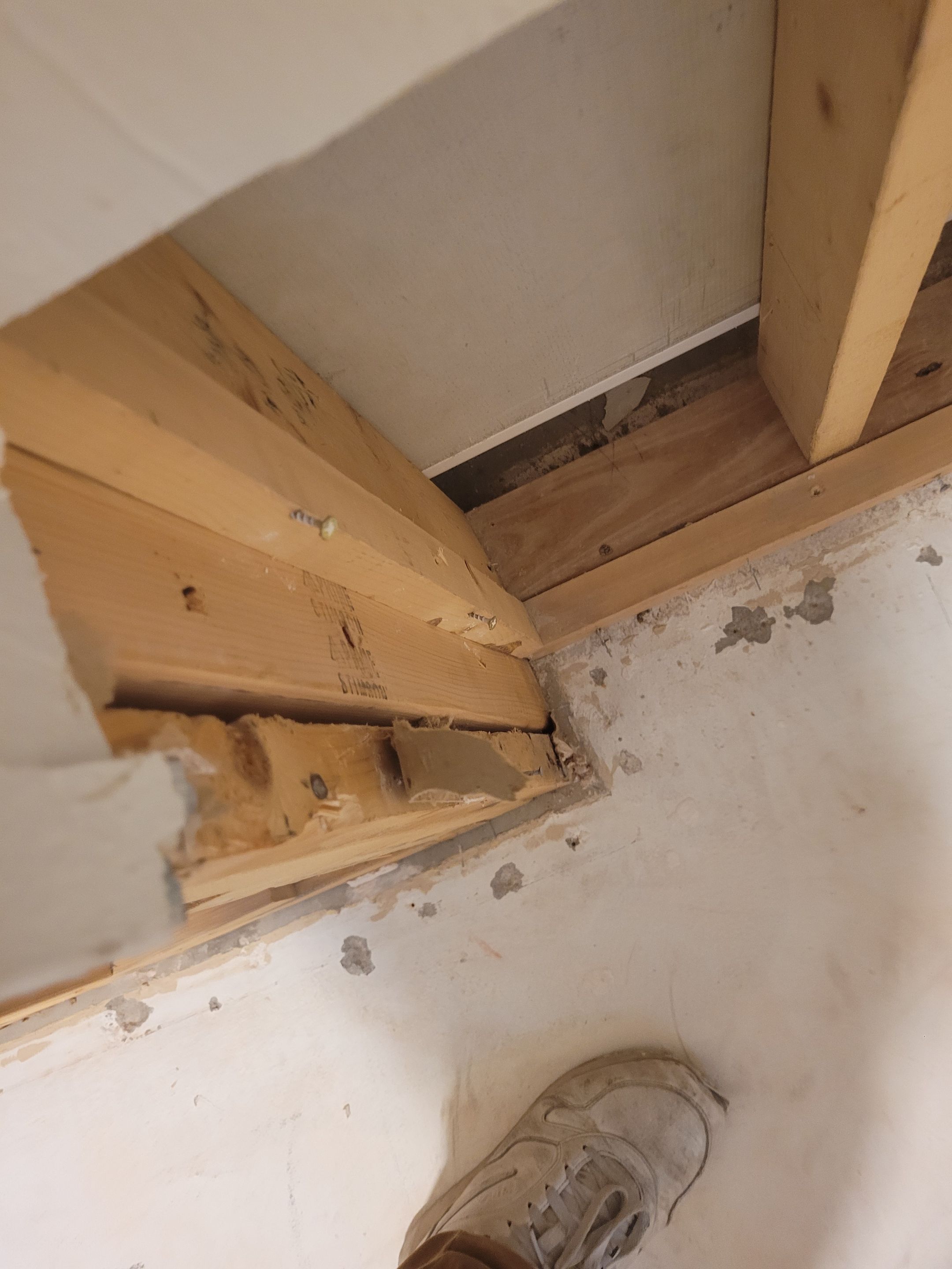 Water Damage  by Accountable Home Services