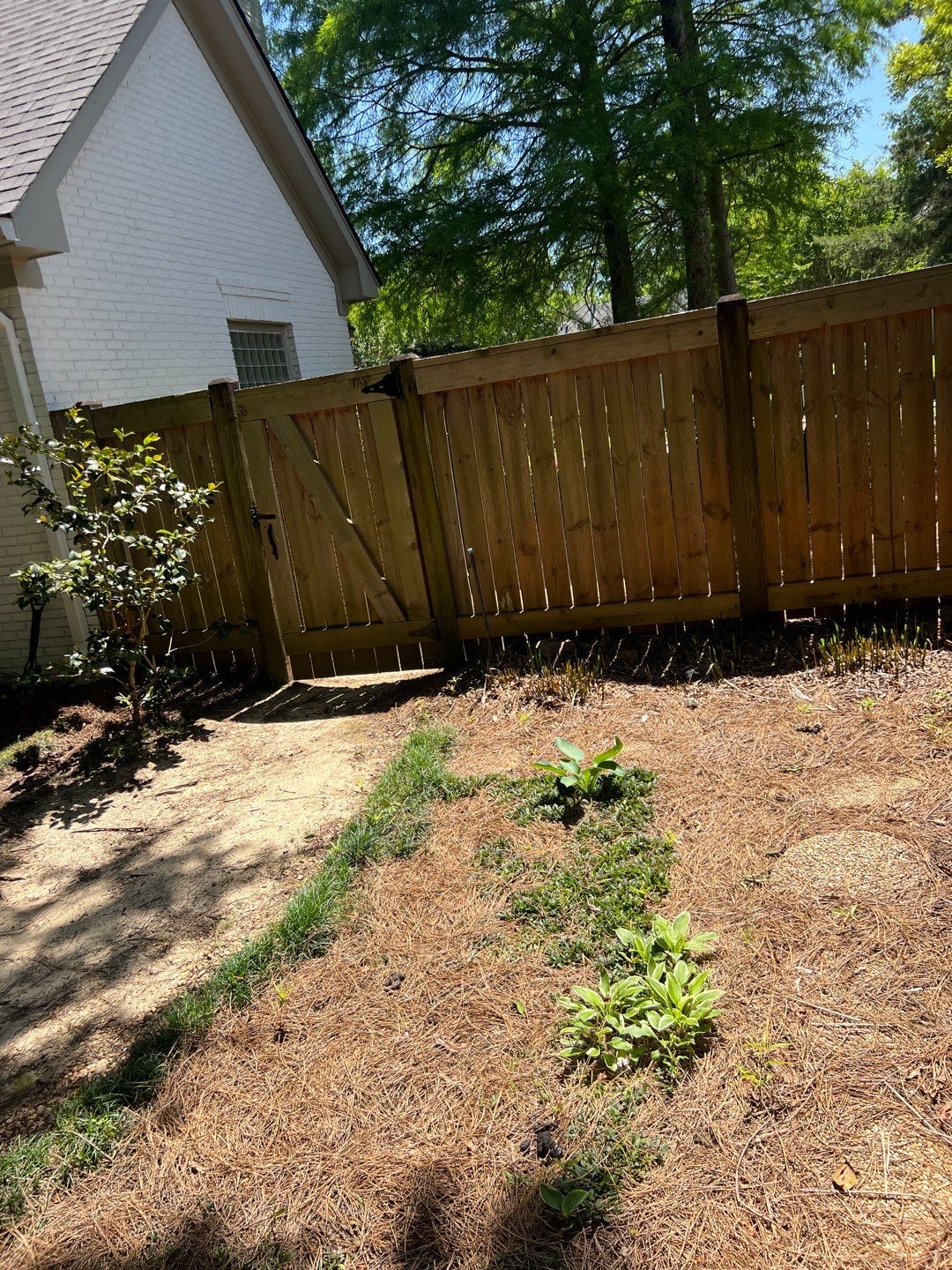 6ft & 8ft Treated Pine Good Neighbor by Roberson Construction LLC