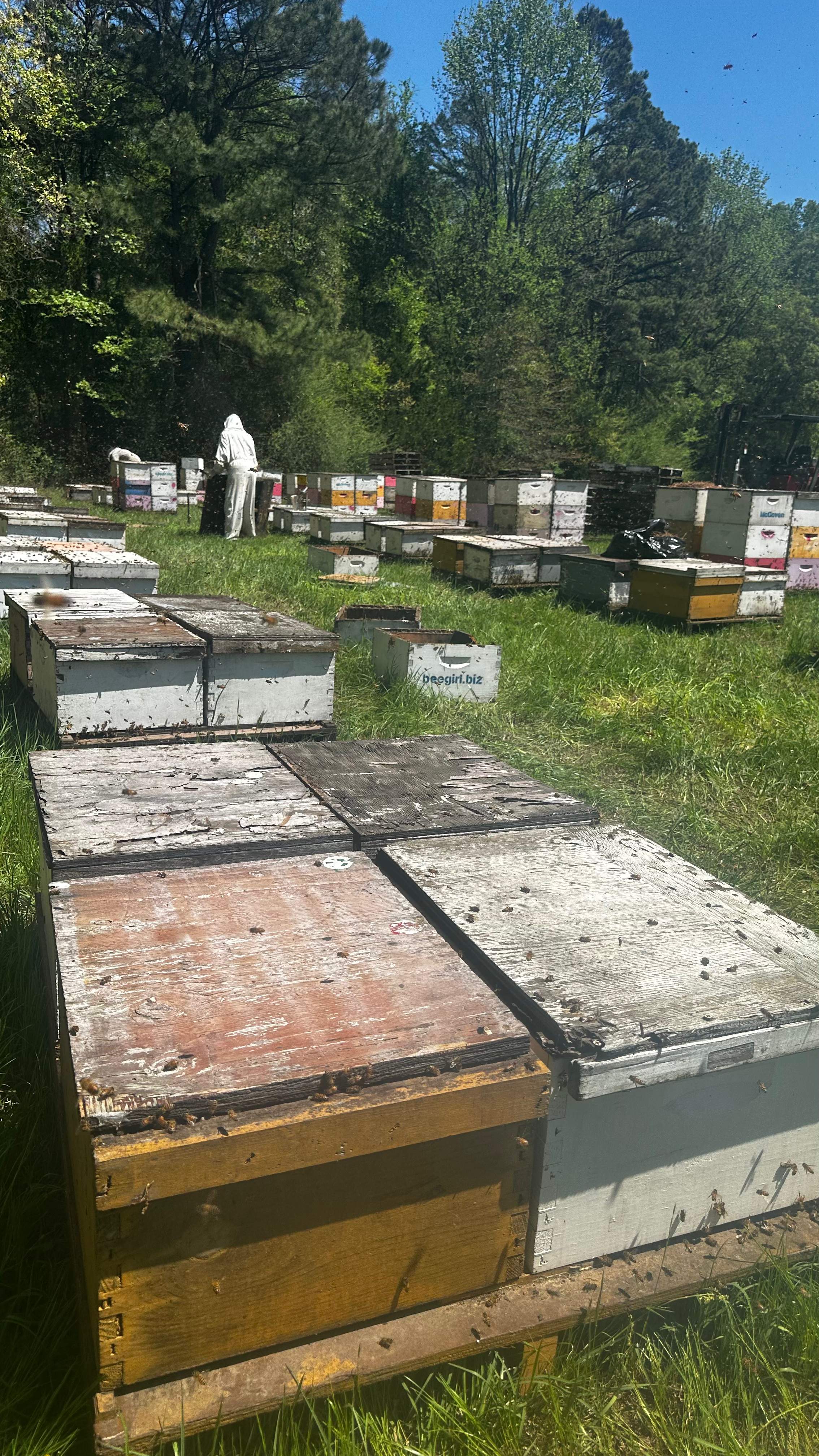 Traylor's Hay Meadow Apiary by Rockwall Honey Bee Company