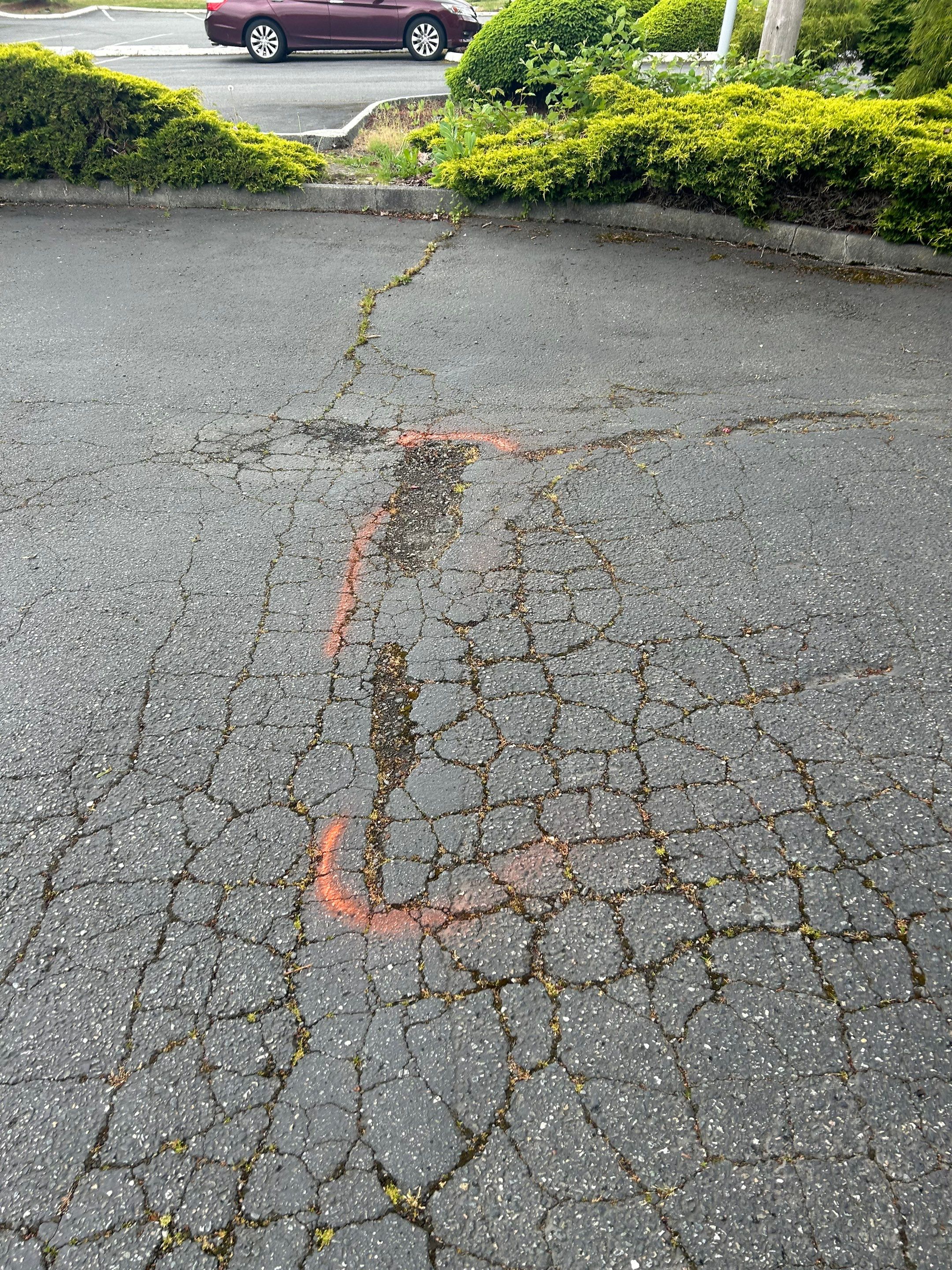 Brooklyn Bros Pizza | Sealcoating & Striping by Jireh Asphalt & Concrete Inc 