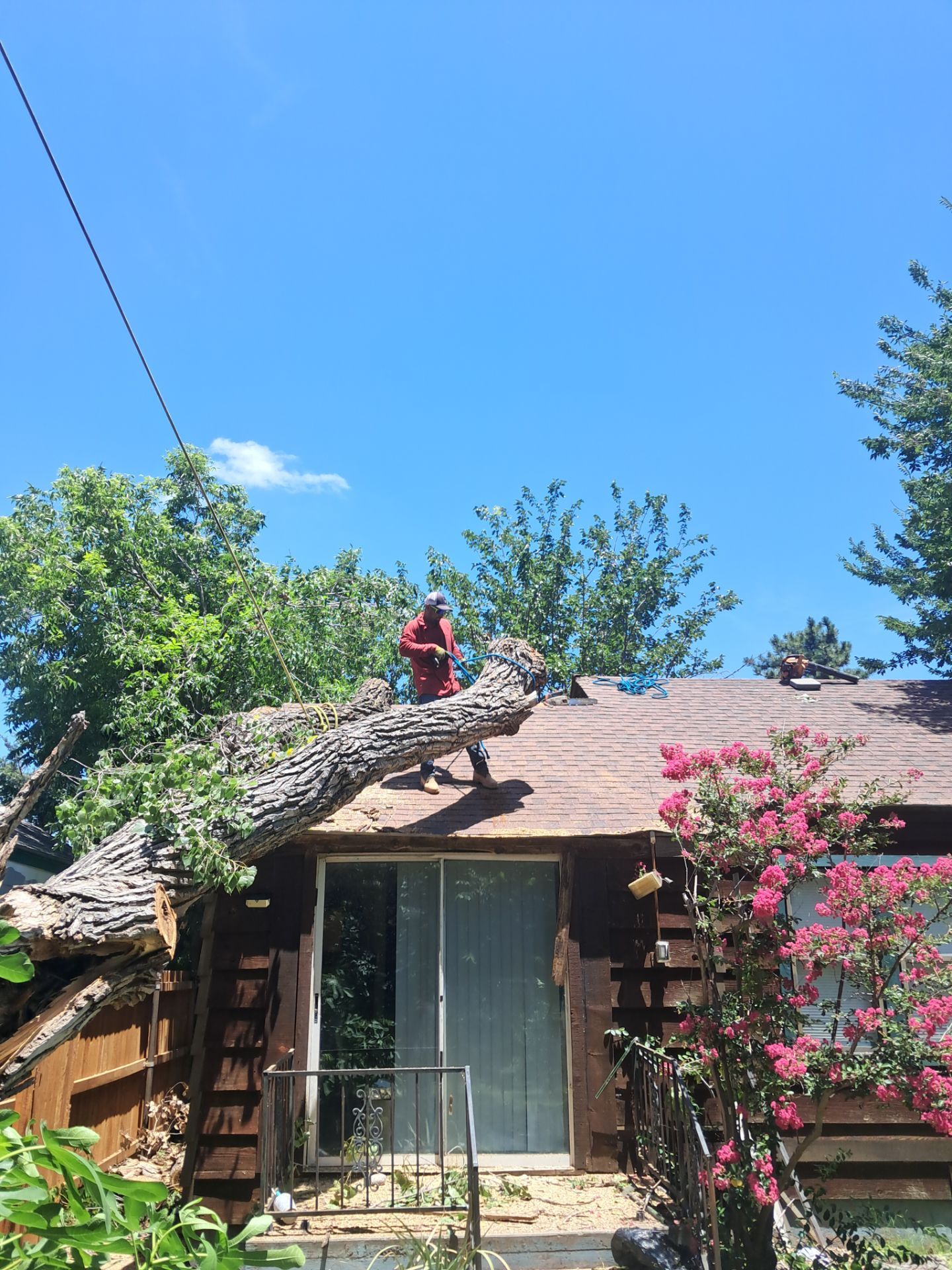 Dangerous Tree Tree Removal  by Clays Services Inc