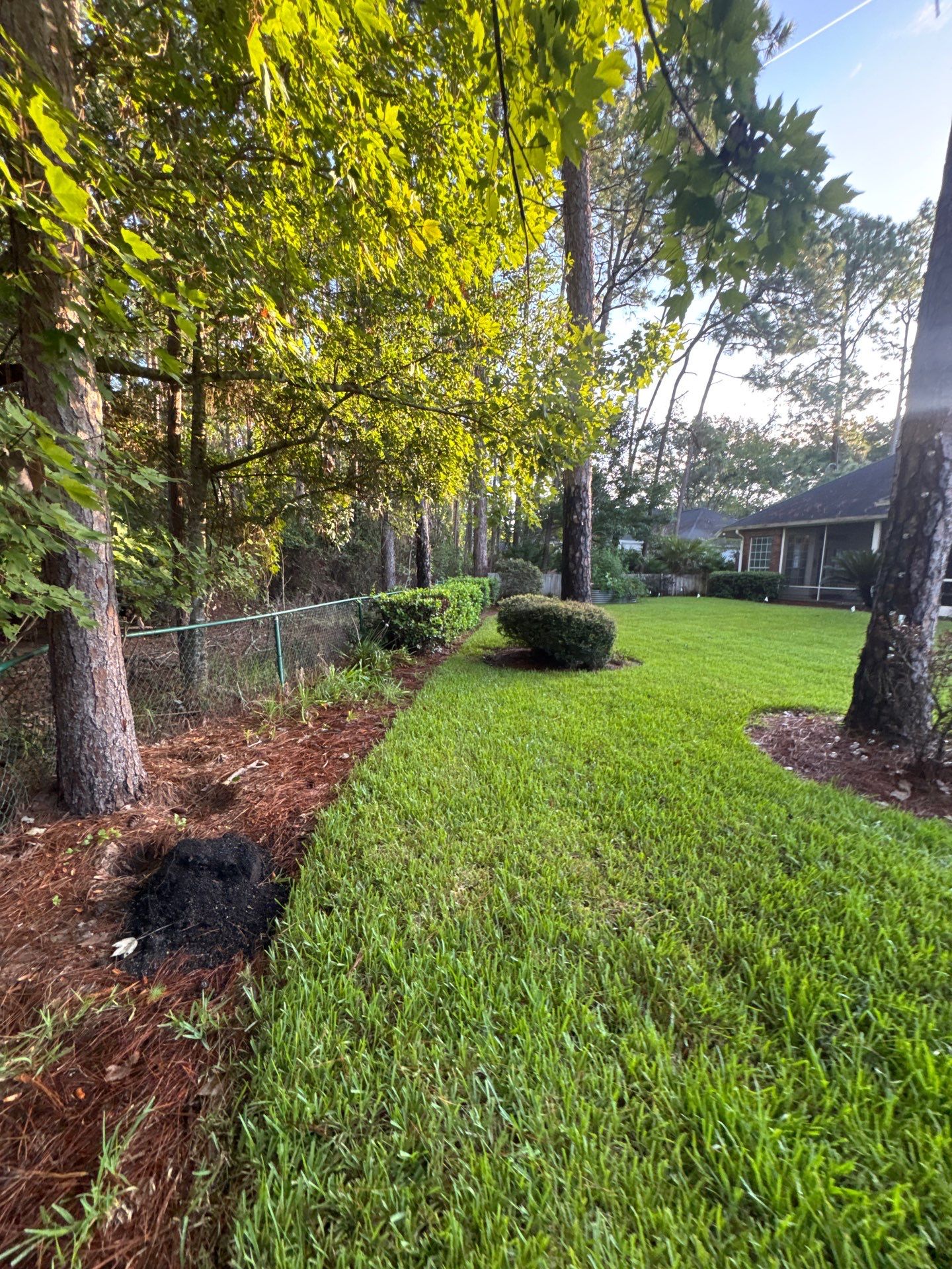 Residential | Shrub Trimming by ProGreen Services