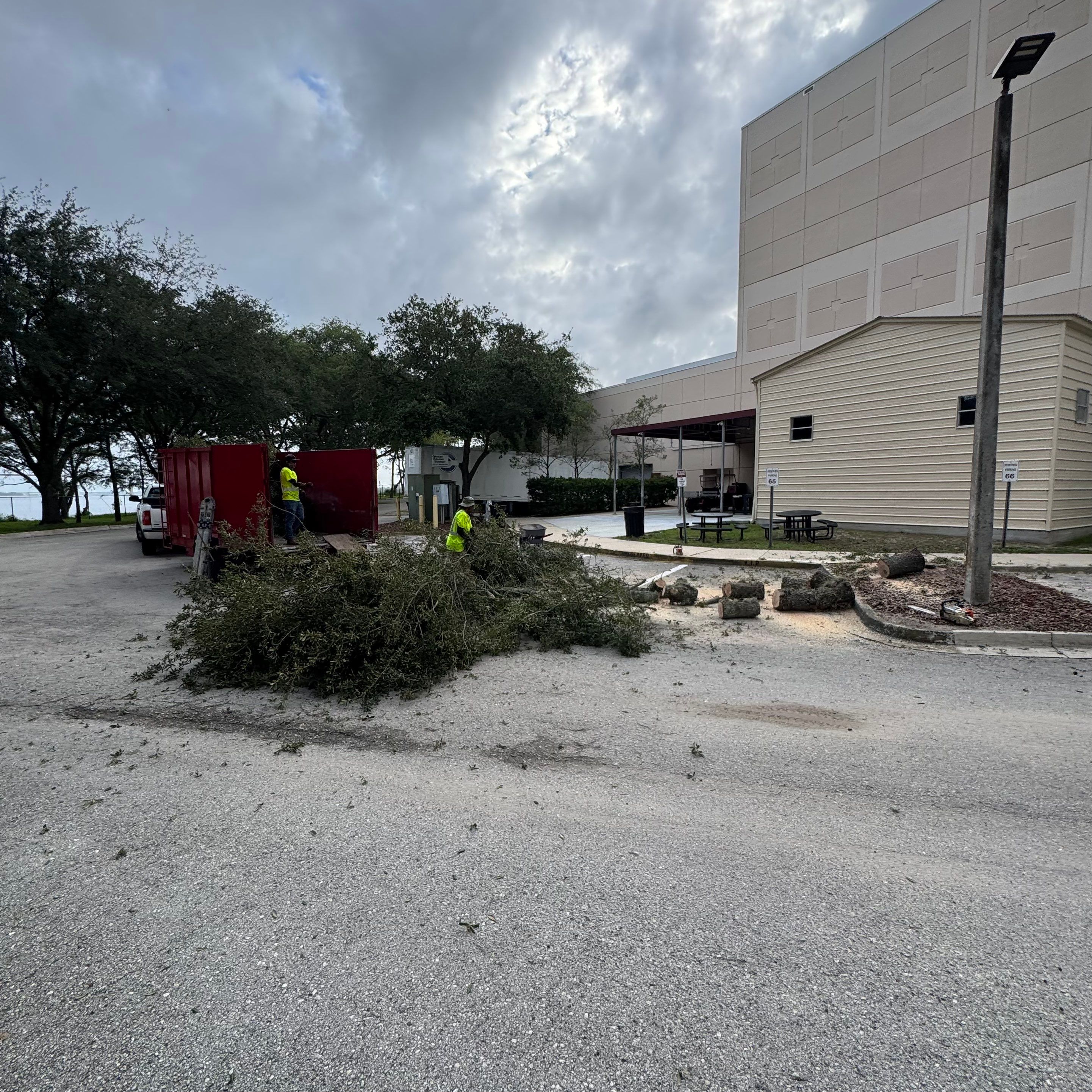 Episcopal - Munnerlyn Campus | Tree Removal by ProGreen Services