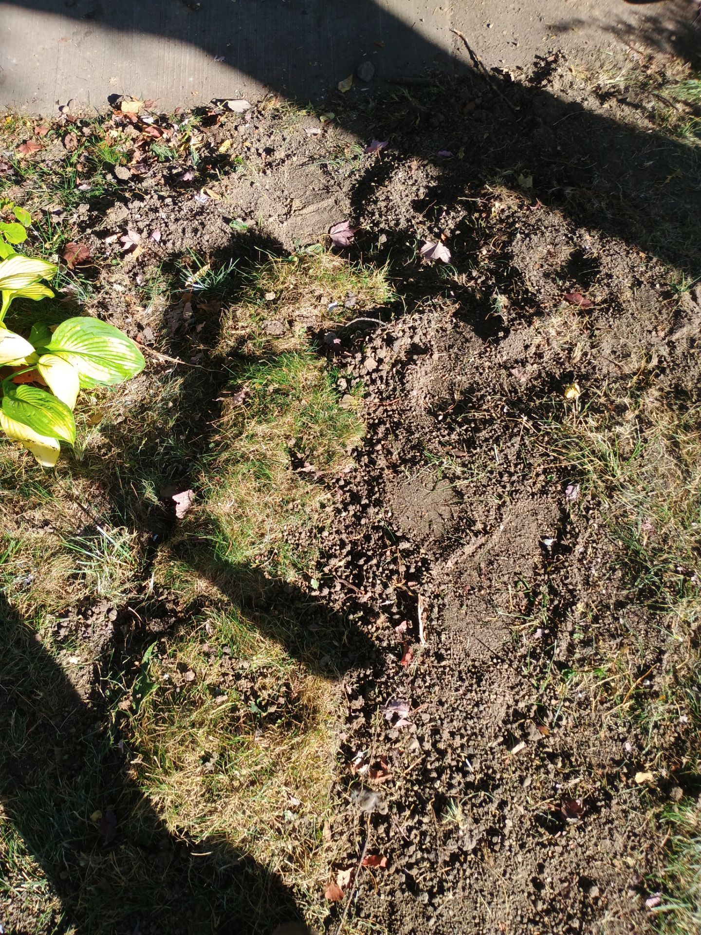 French Drain Installation for Michael by Waterproofing Northeast