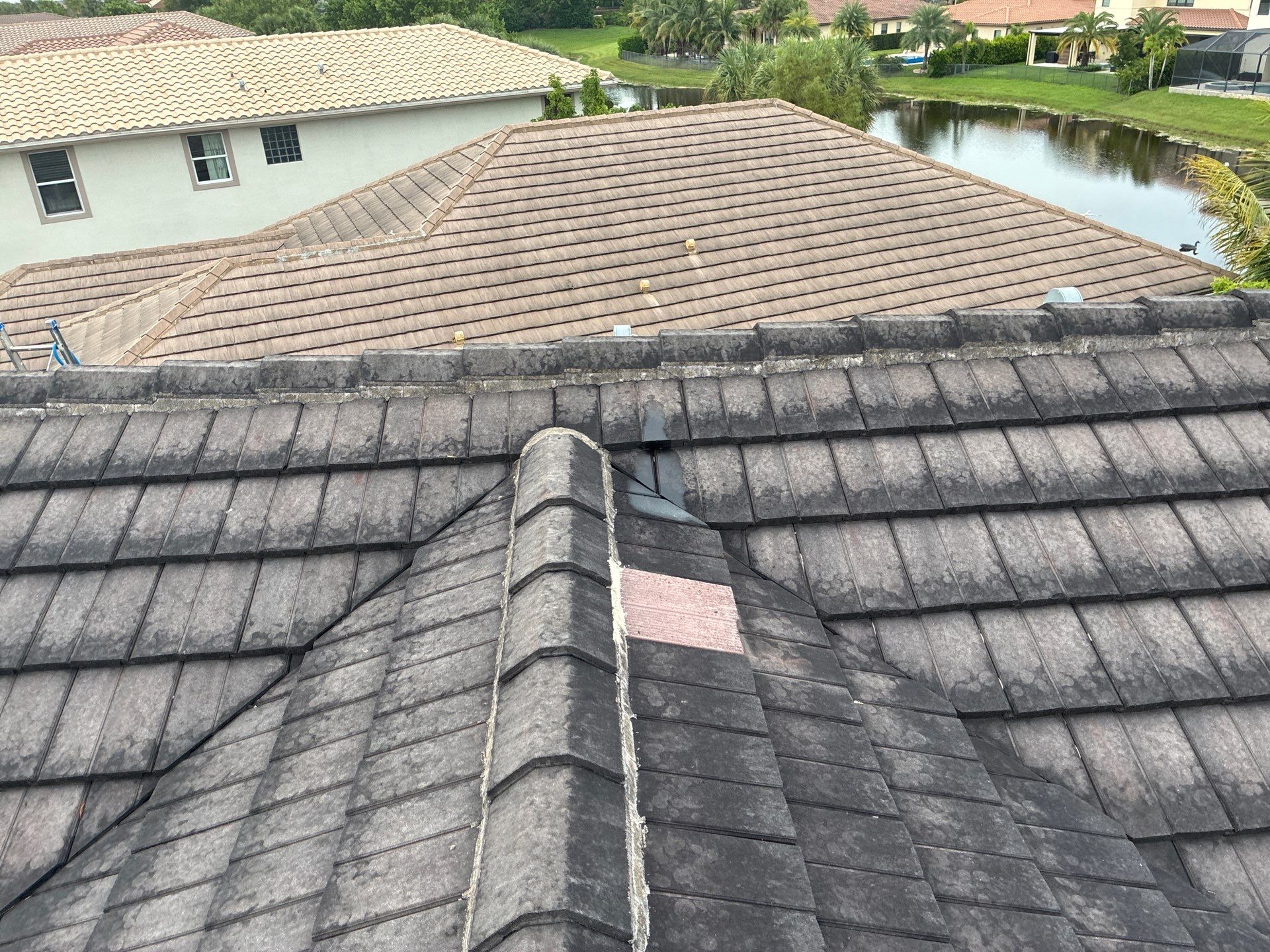 Heron Bay Parkland Painting by BKB Pressure Cleaning LLC