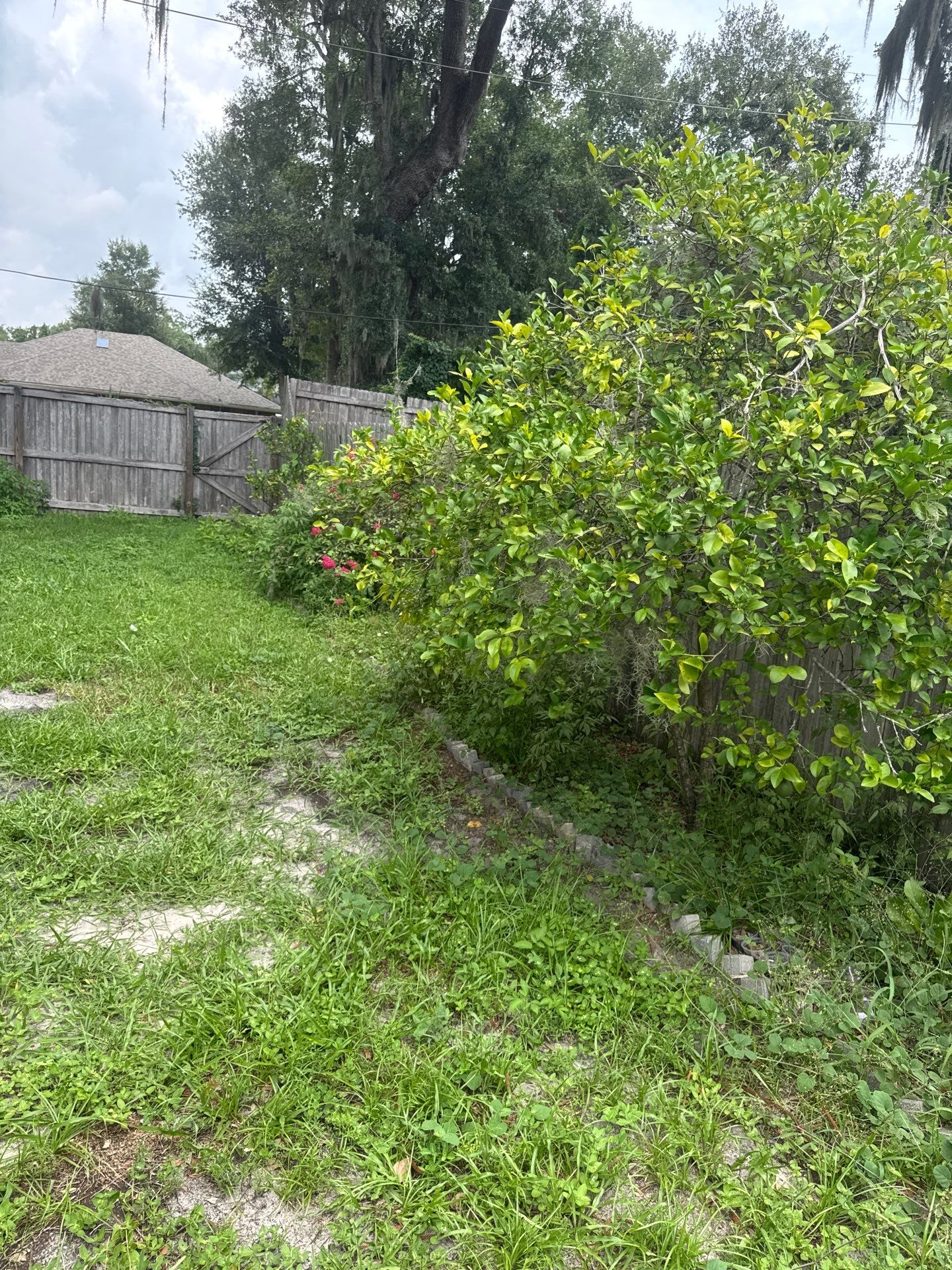 Residential | Clean-Up & Mulch Install by ProGreen Services