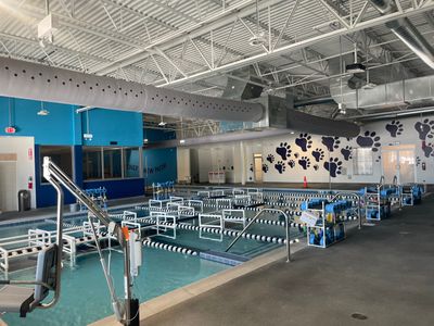 Bear Paddle Swim School - Kildeer, IL