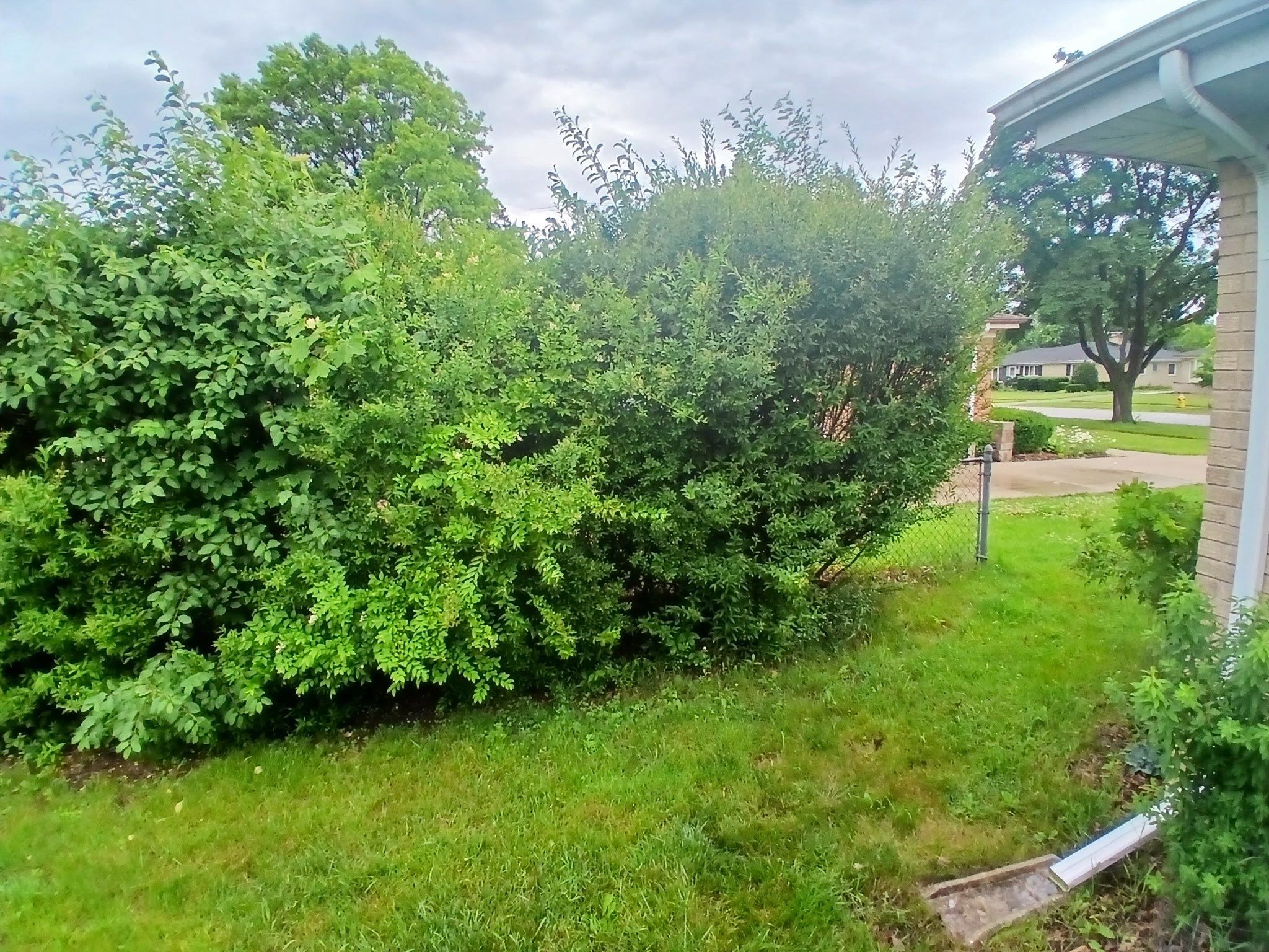 Pamela D. - Mount Prospect, IL by A&N