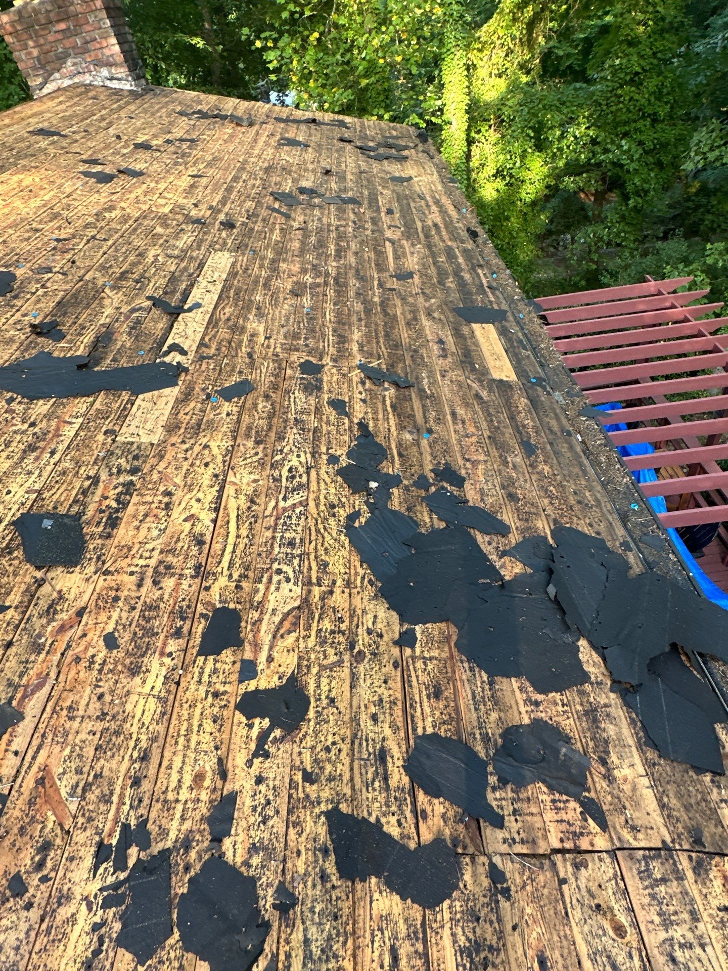Morabit Clemson by United Contracting and Roofing