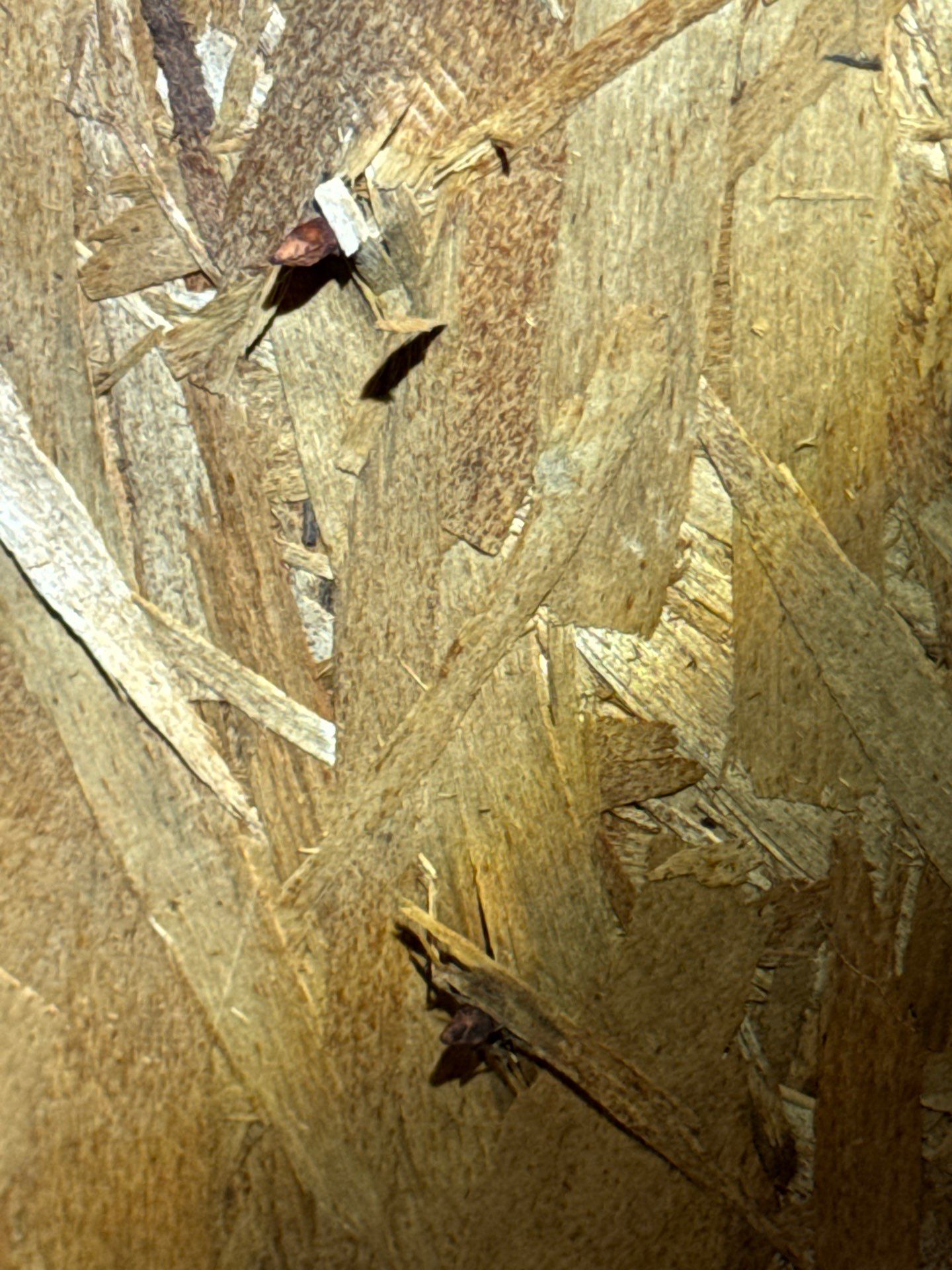 Project in Seattle by Connolly Construction Company