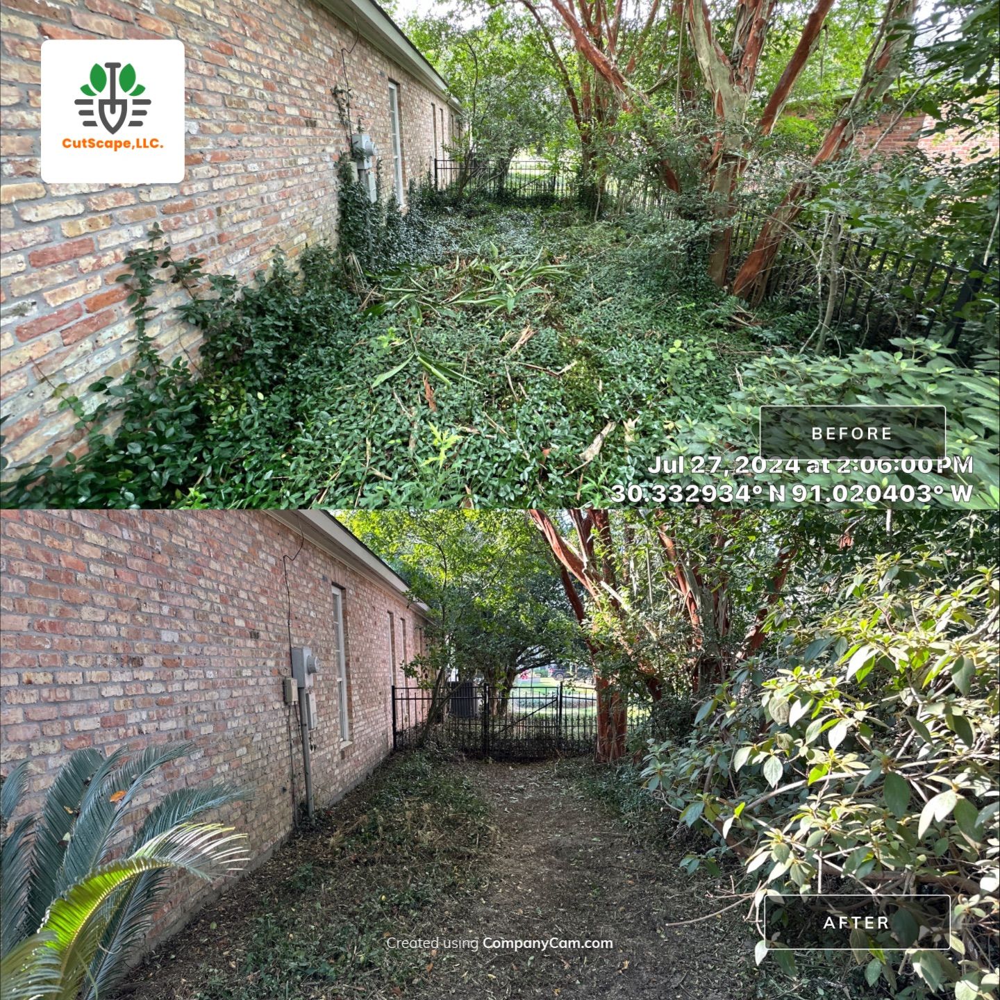 LANDSCAPE SERVICES: CLEAN OUT / TRIM / BRUSH DEBRIS REMOVAL by CutScape, LLC.