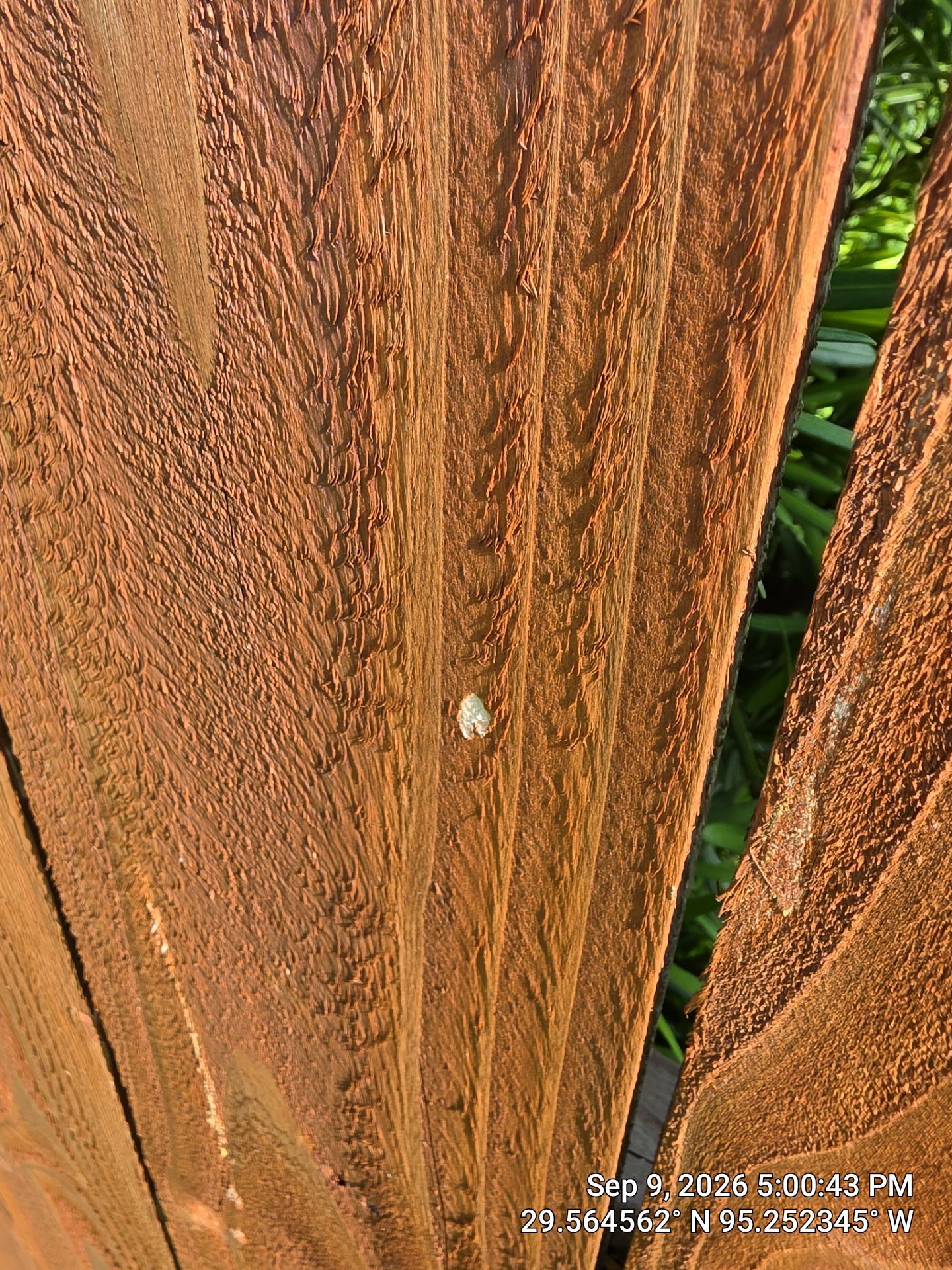 Comprehensive Storm Damage Inspection and Property Assessment in Houston by Good Vibes Roofing