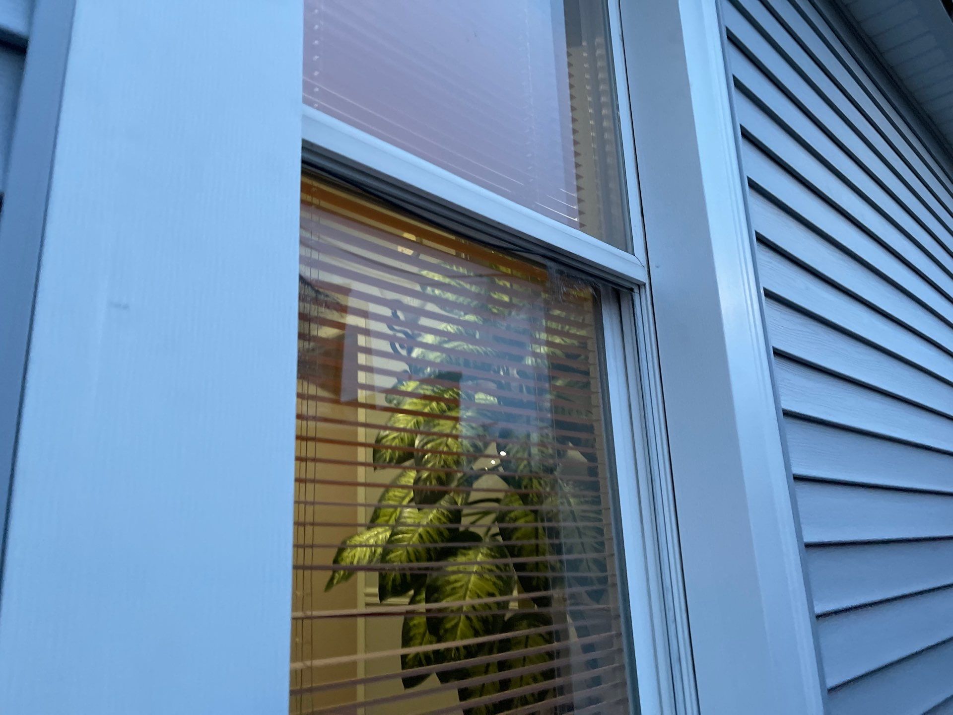 Test by ProGrade Exteriors