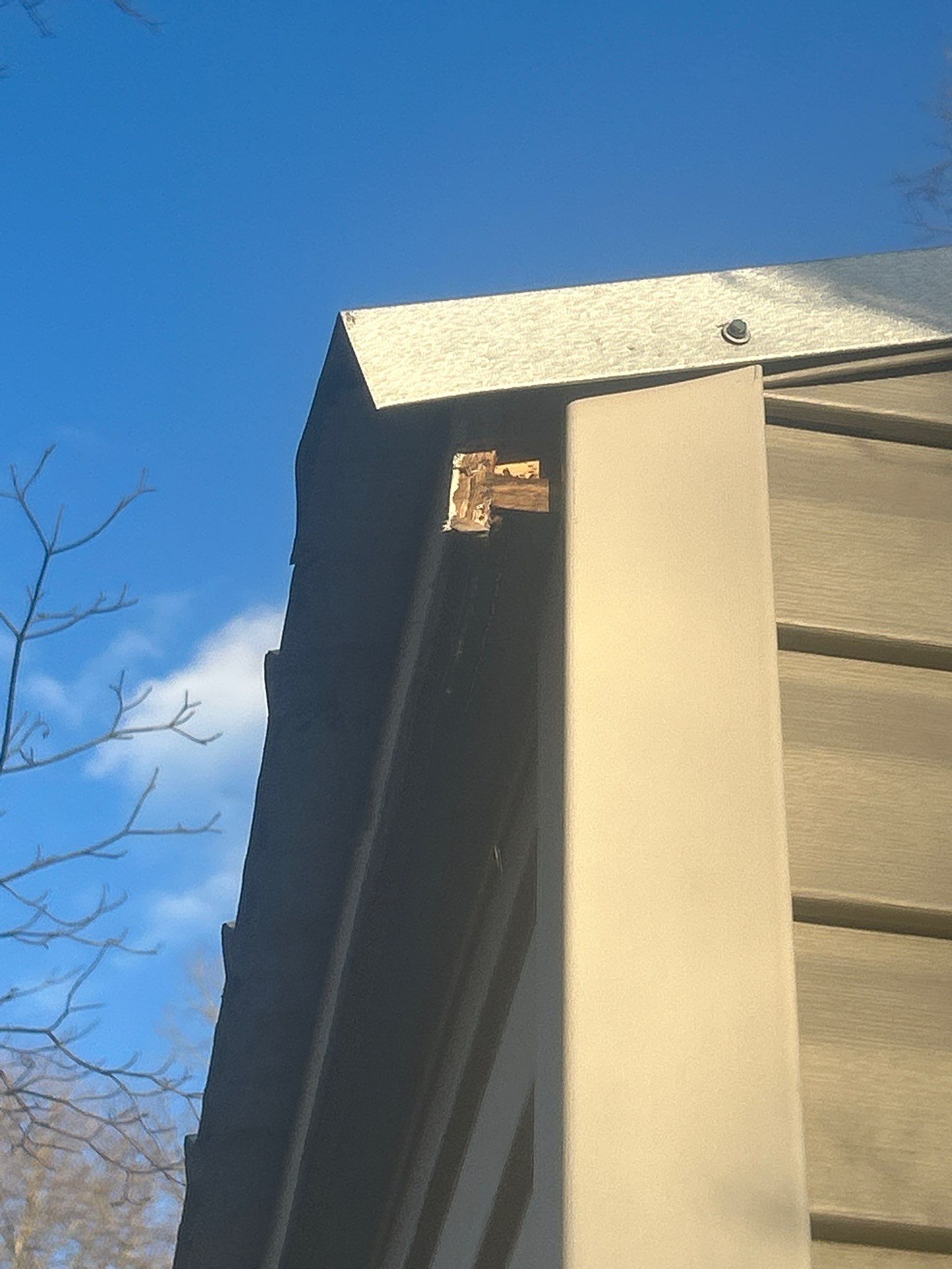 Residential Siding Repair in Bankston (Vinyl) by The Roofing Dudes