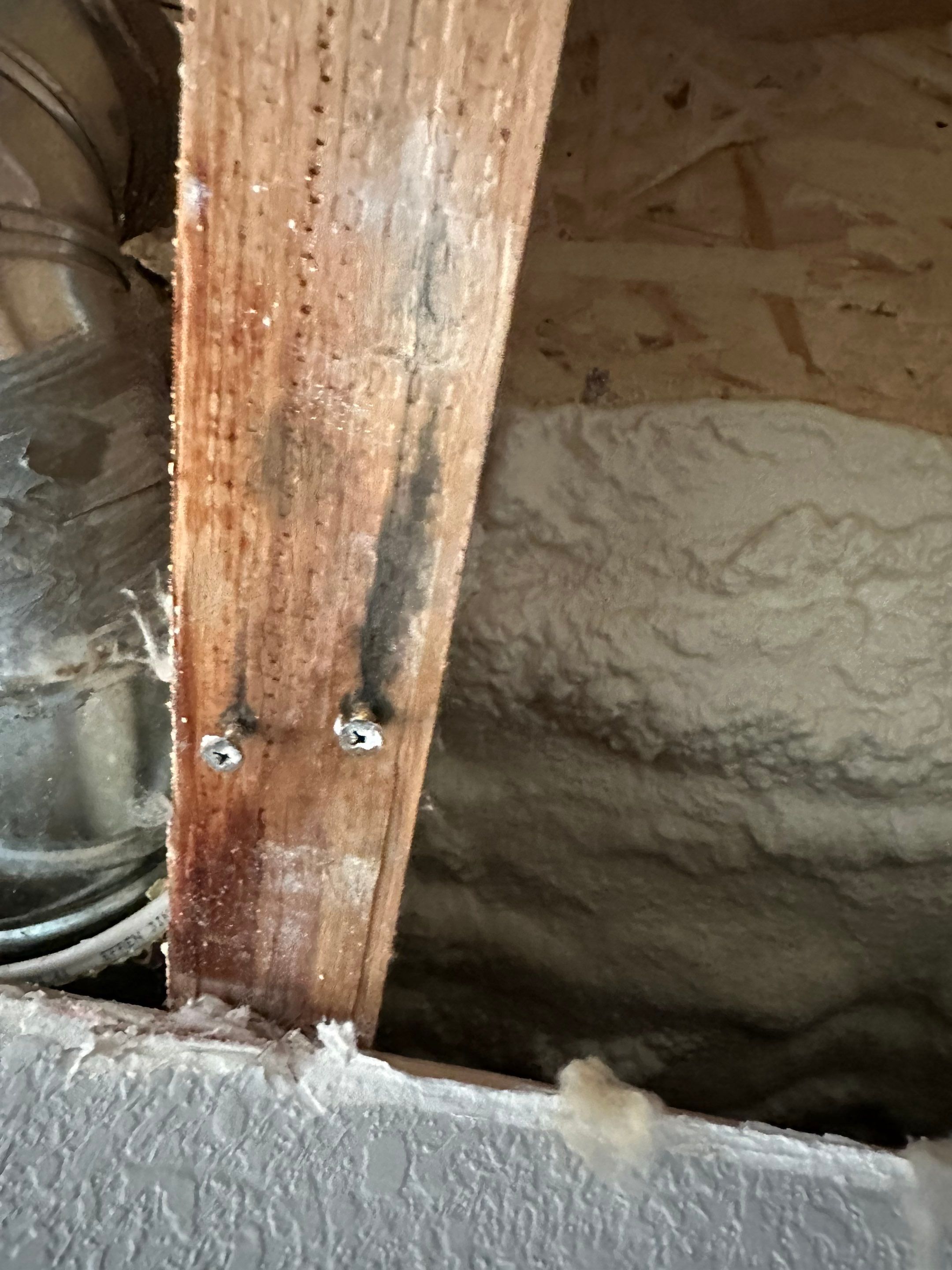 Mold Remediation in Denver, CO by Alpha Restoration 