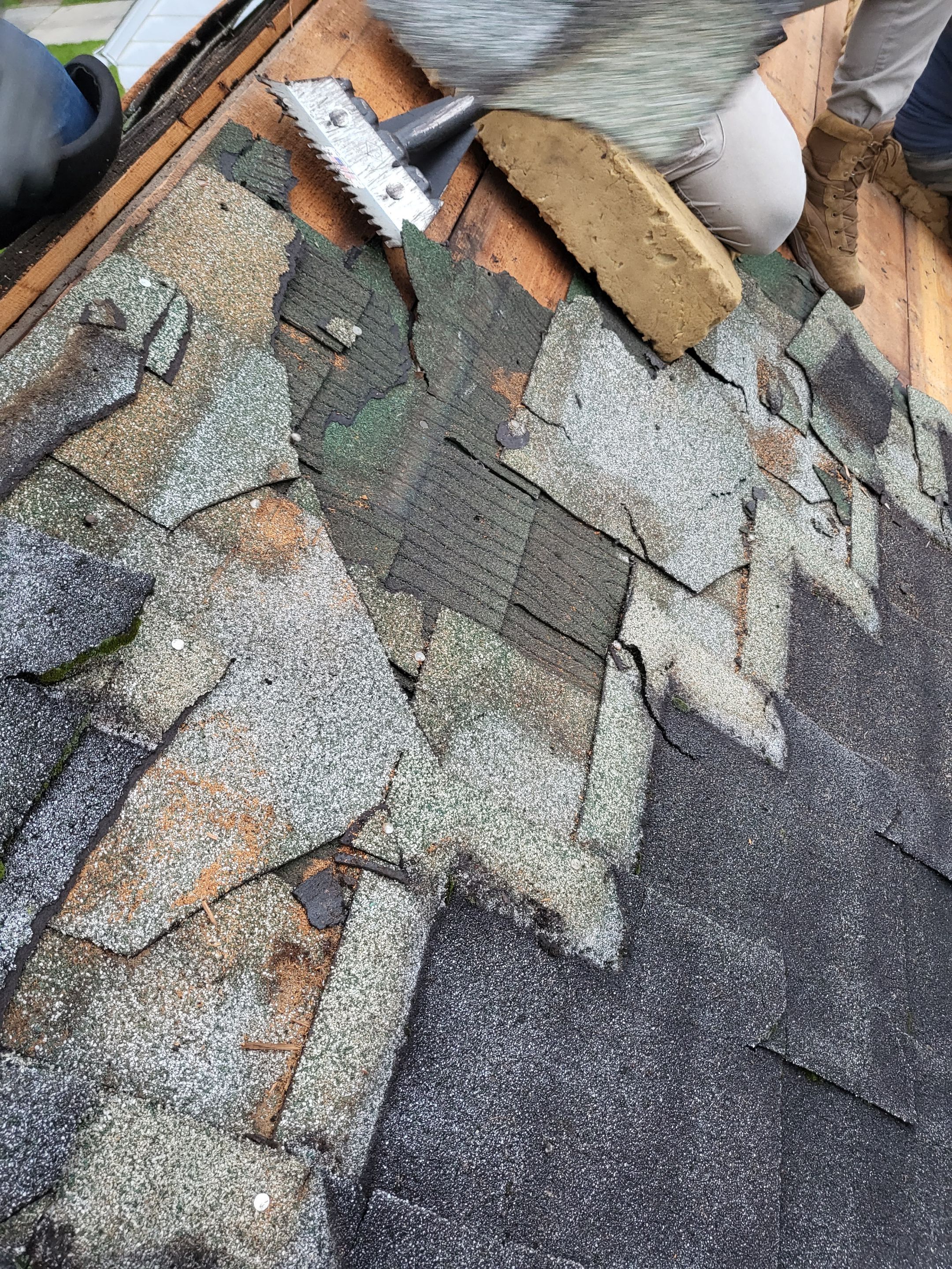 Atlas Pinnacle, Color, Woodland Green, Drip Edge, Color, White by Eagle Eye Roofing