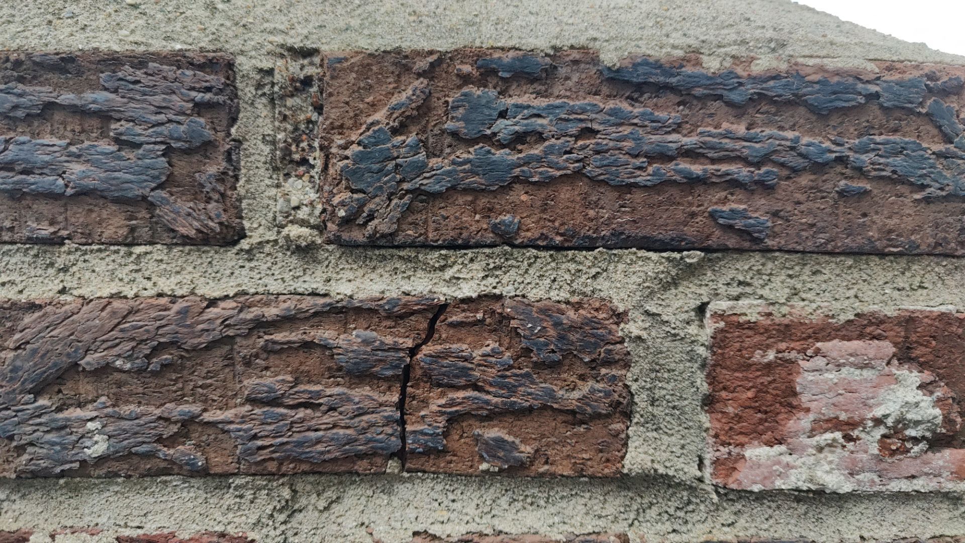 Roof Replacement using Owens Corning Midnight Plum by 180 Contractors