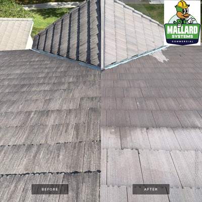 Flat Tile Roof Cleaning